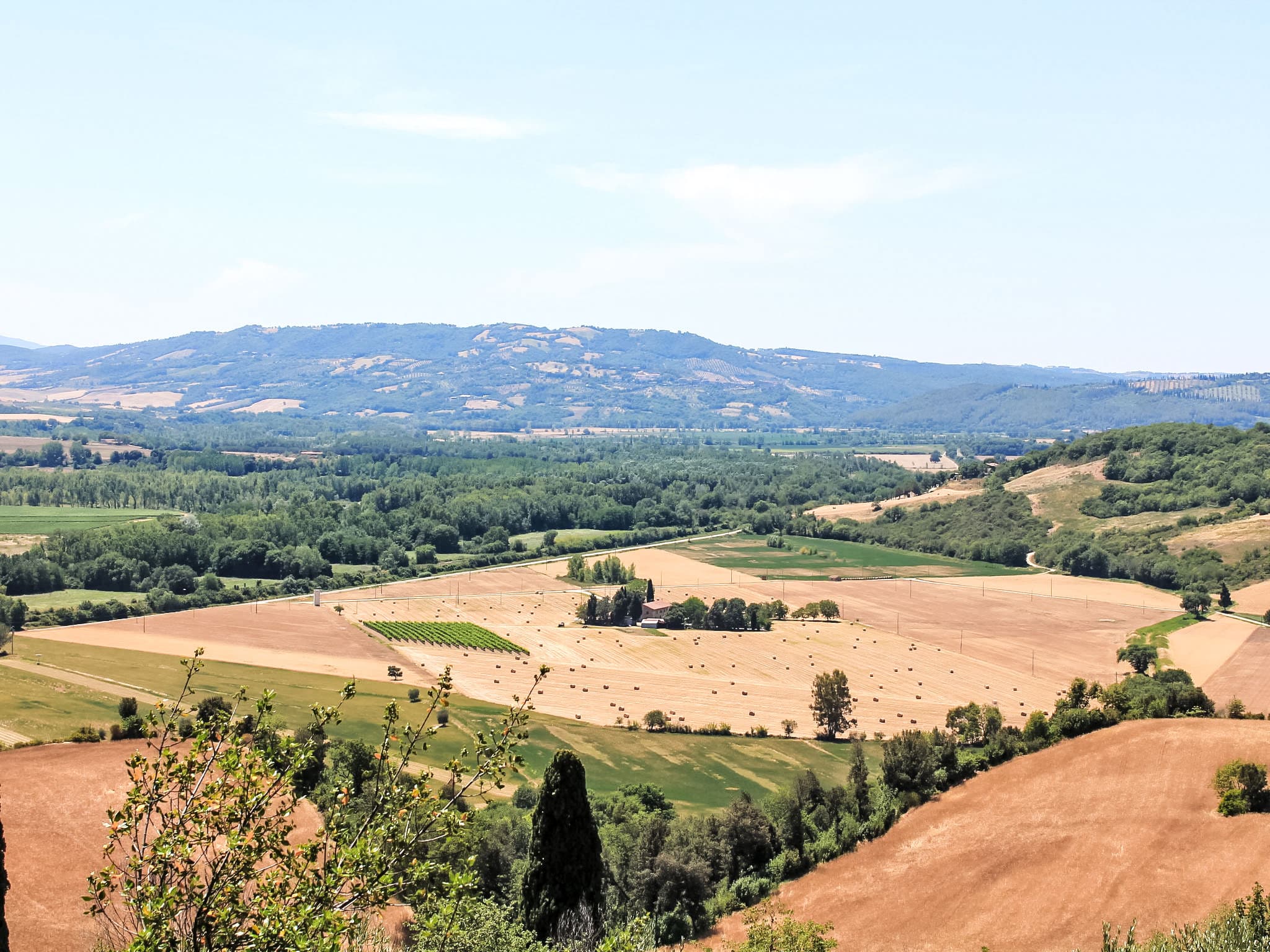 View
