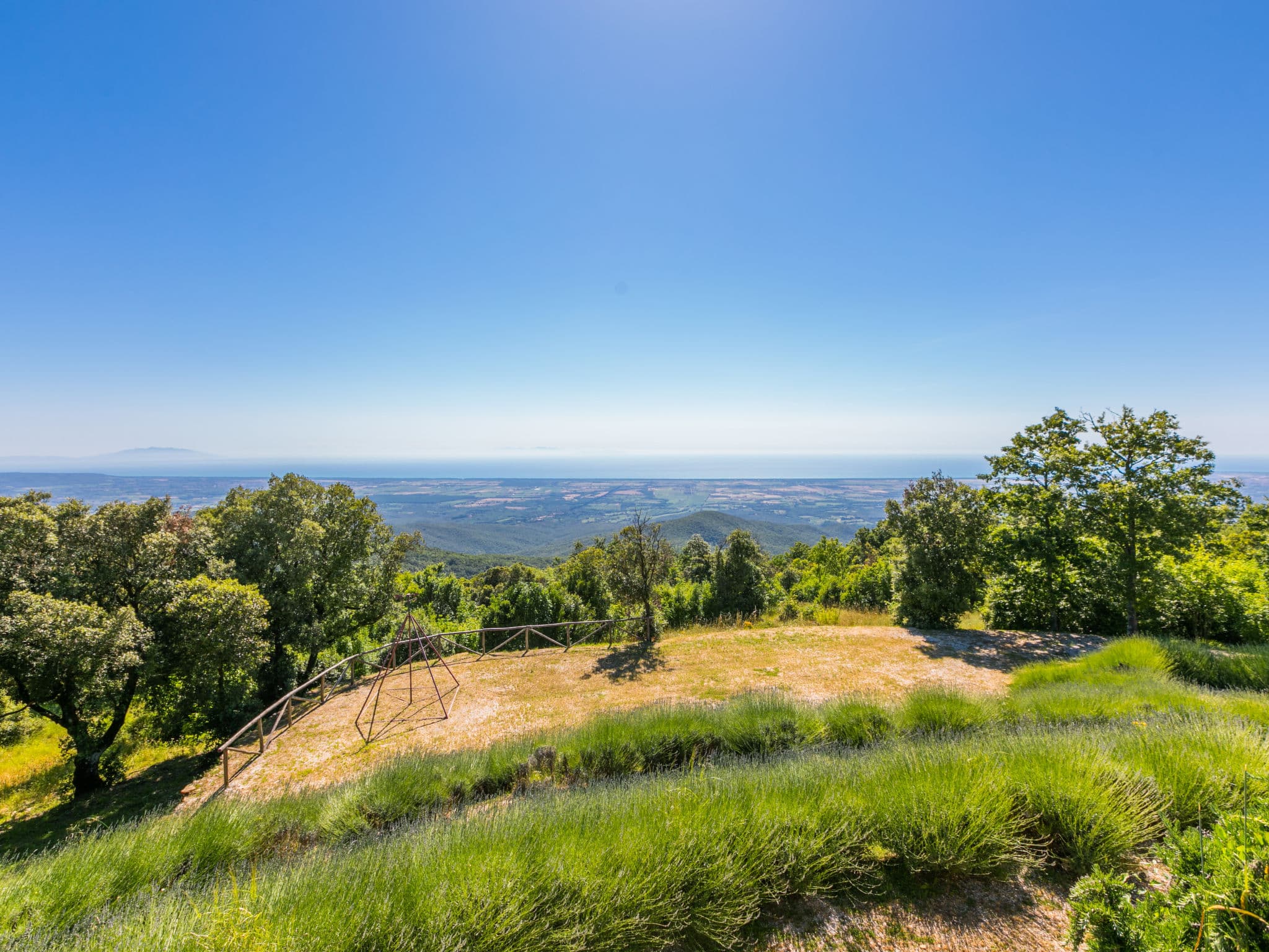 View