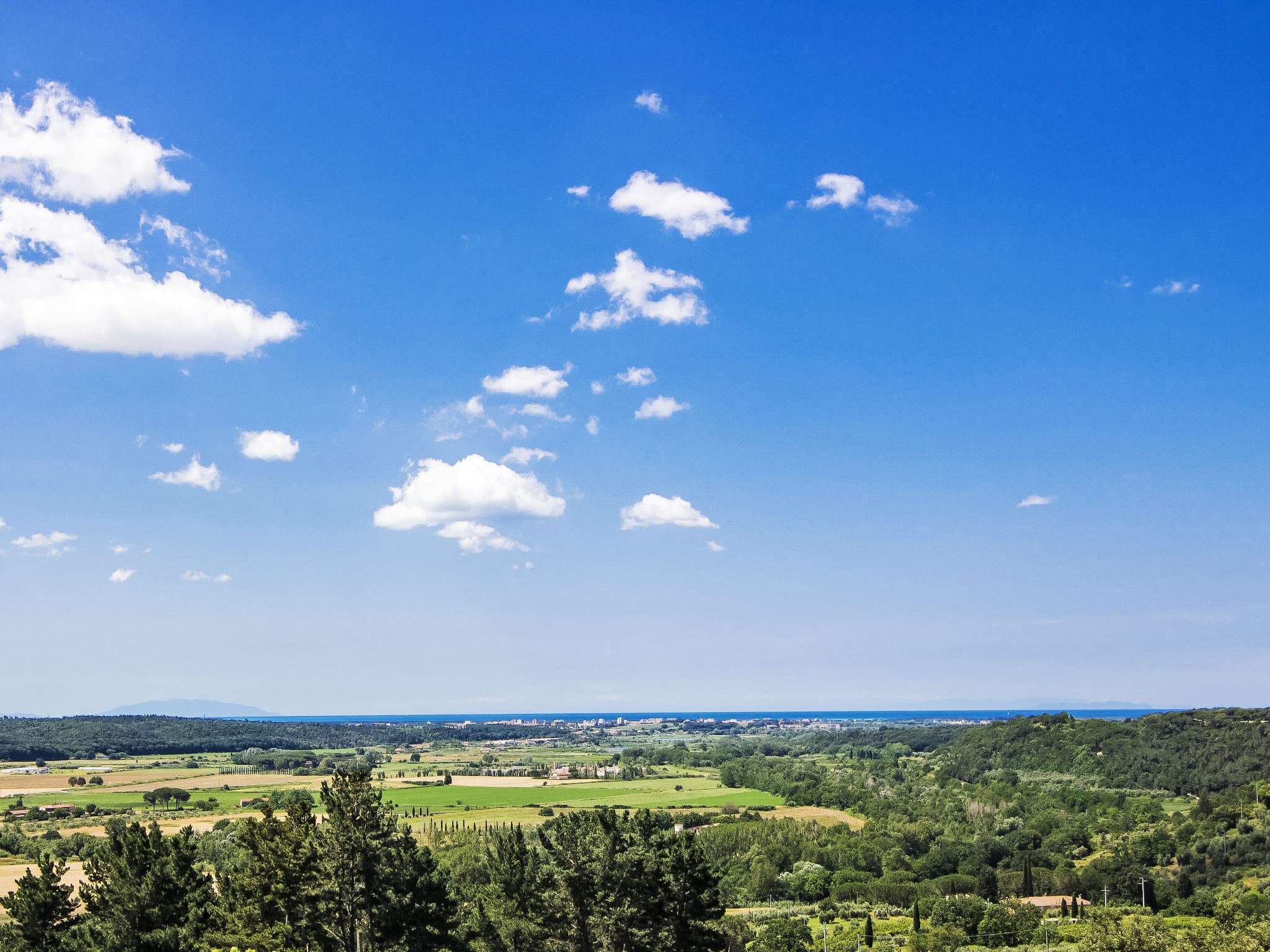 View