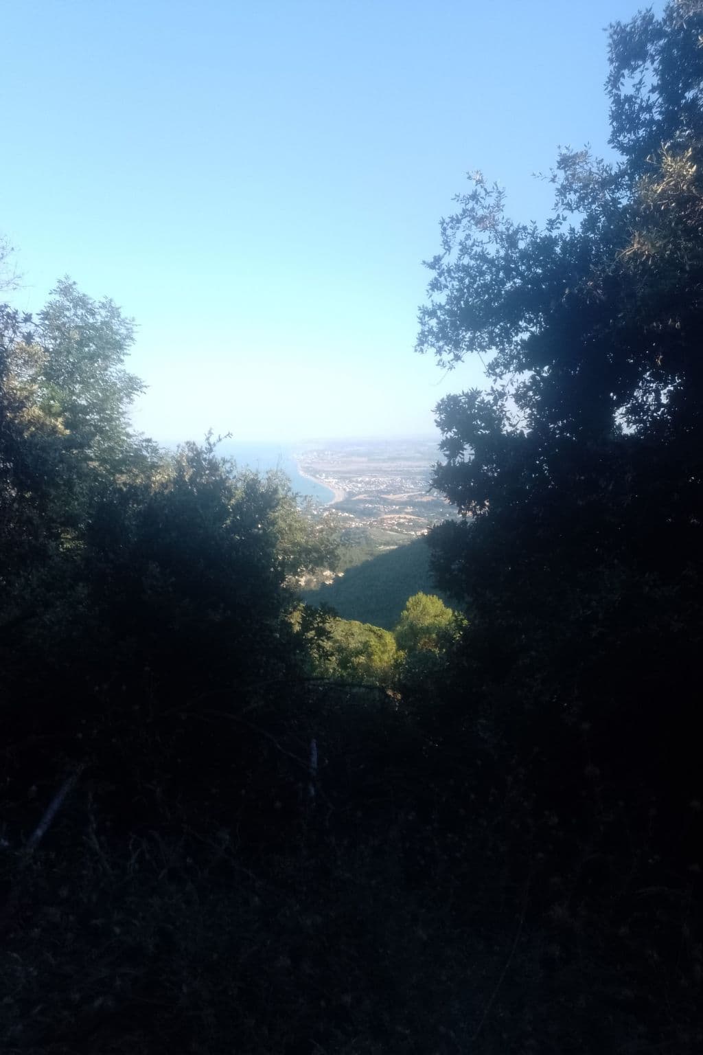View