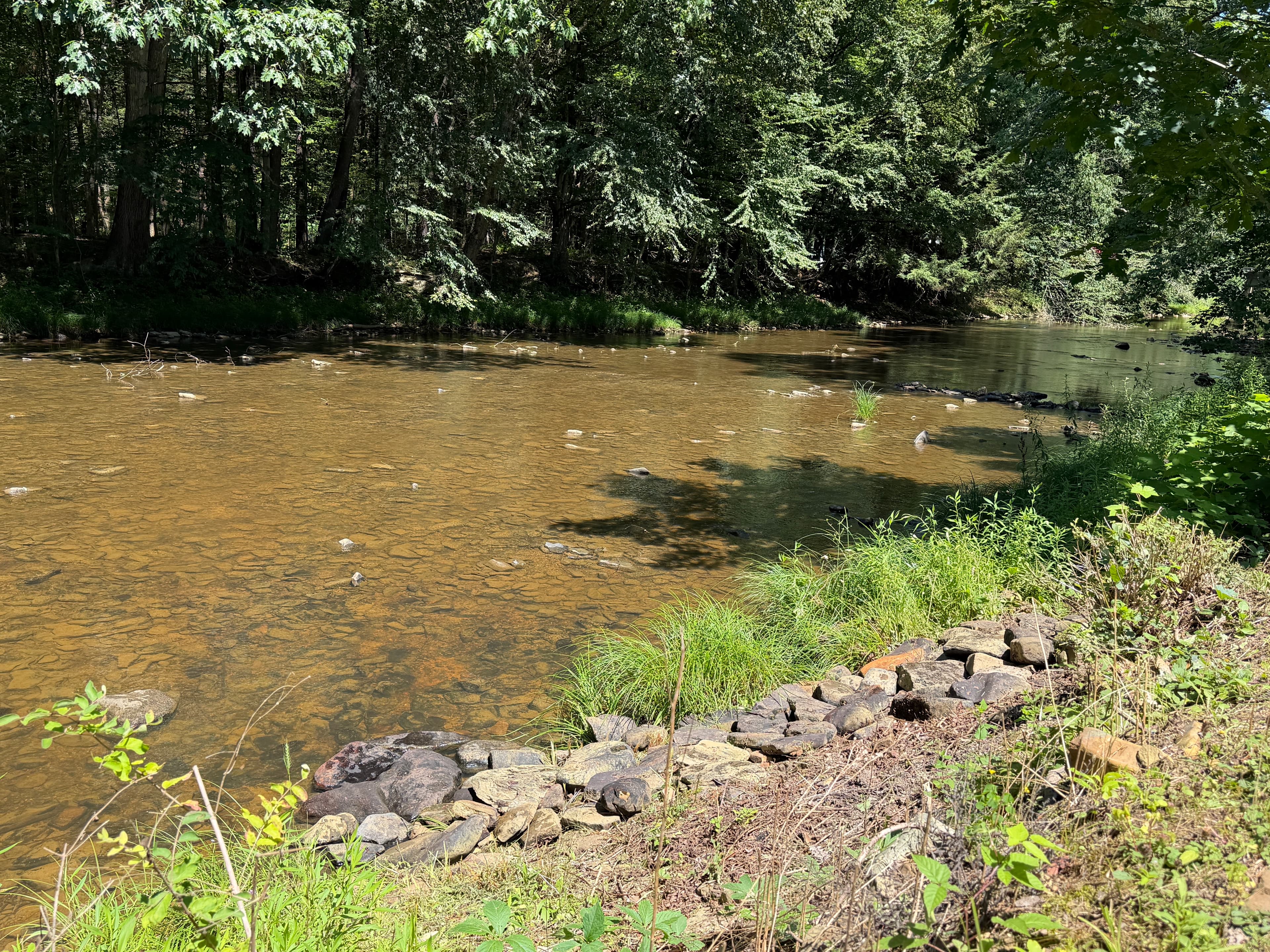 Climb down rocks at your own risk to enter cool creek! Bring rafts or camp chairs to use! 