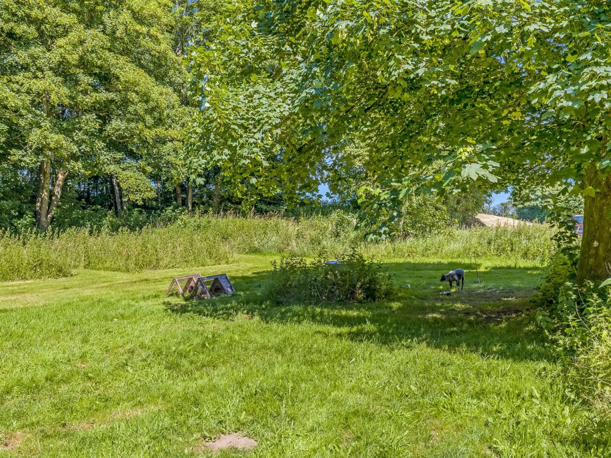 Place