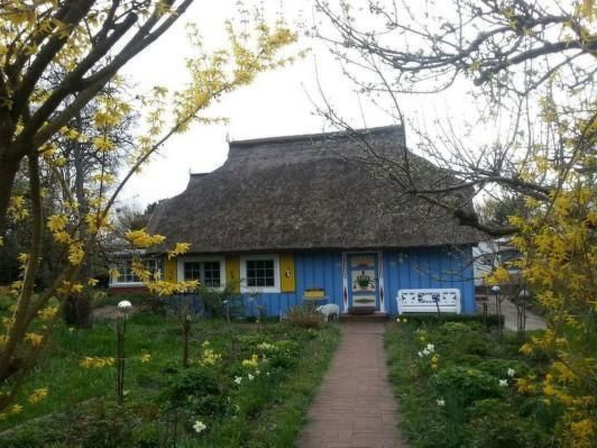 Gallery Image 27
