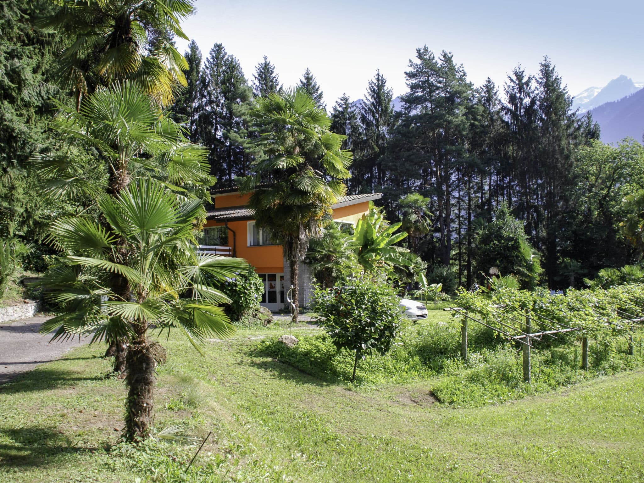 Outdoor