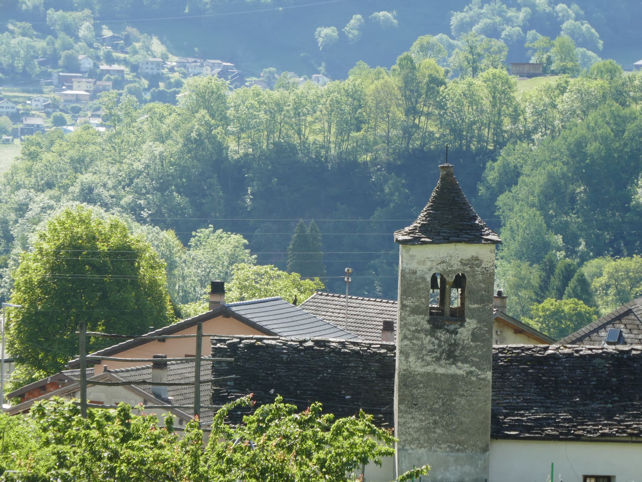 View