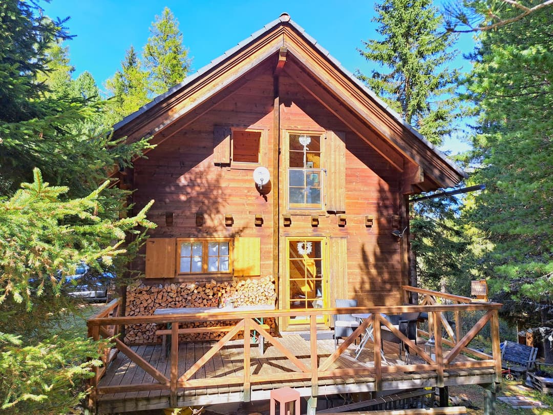 Large Image