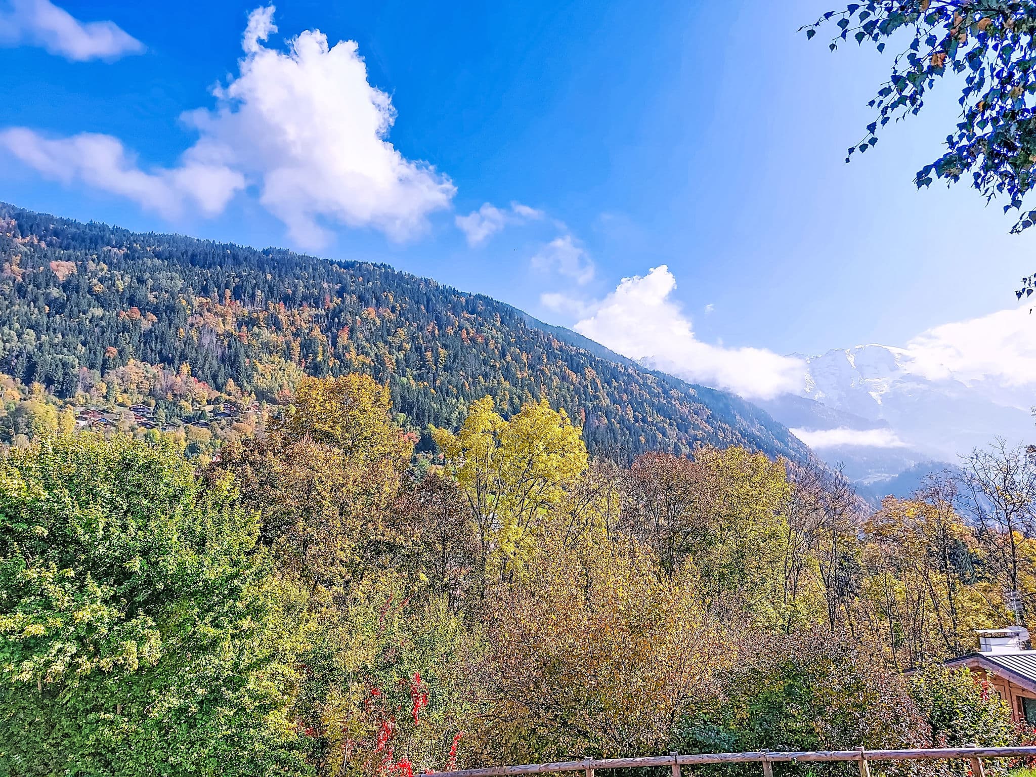 View