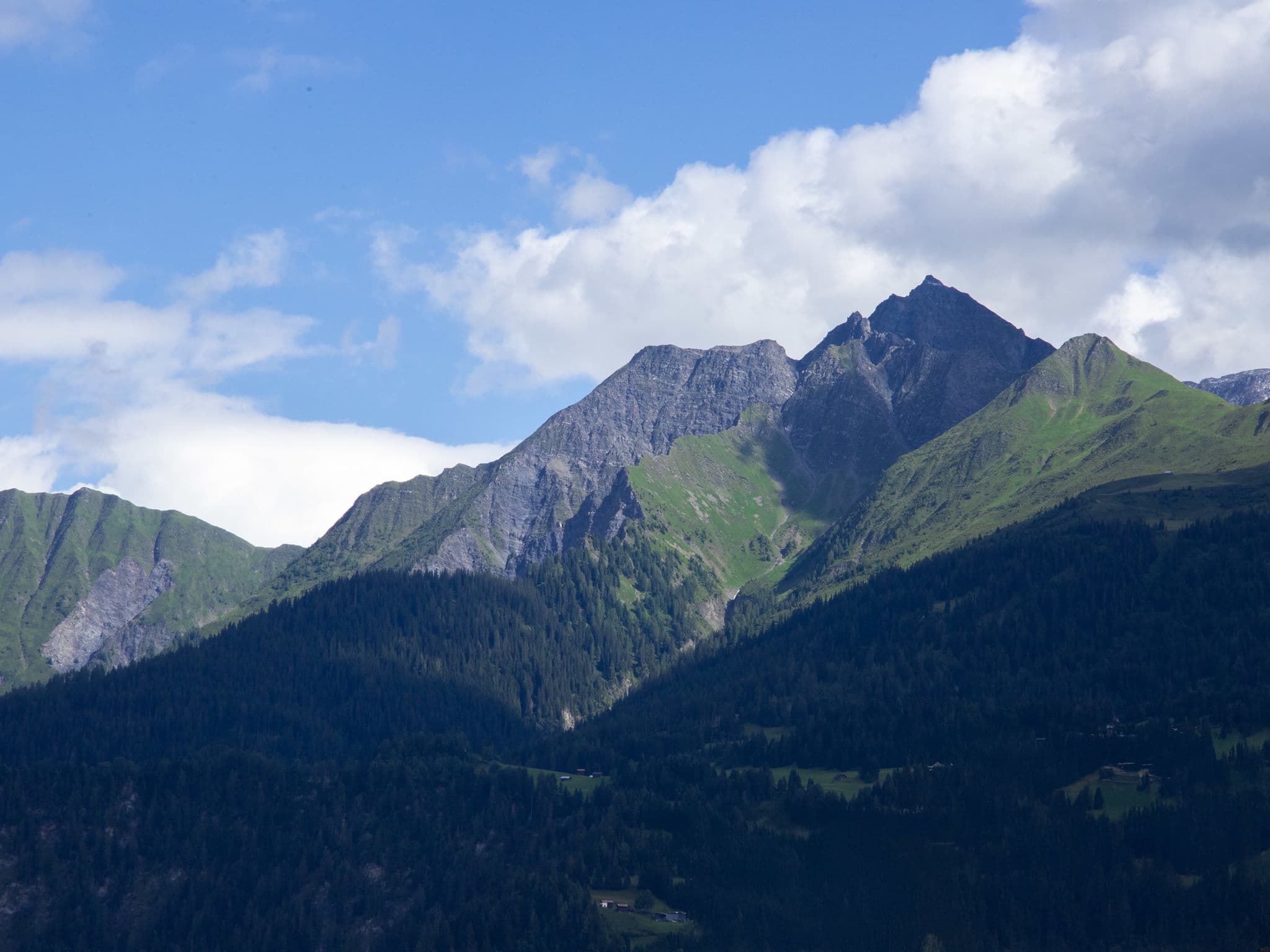 View
