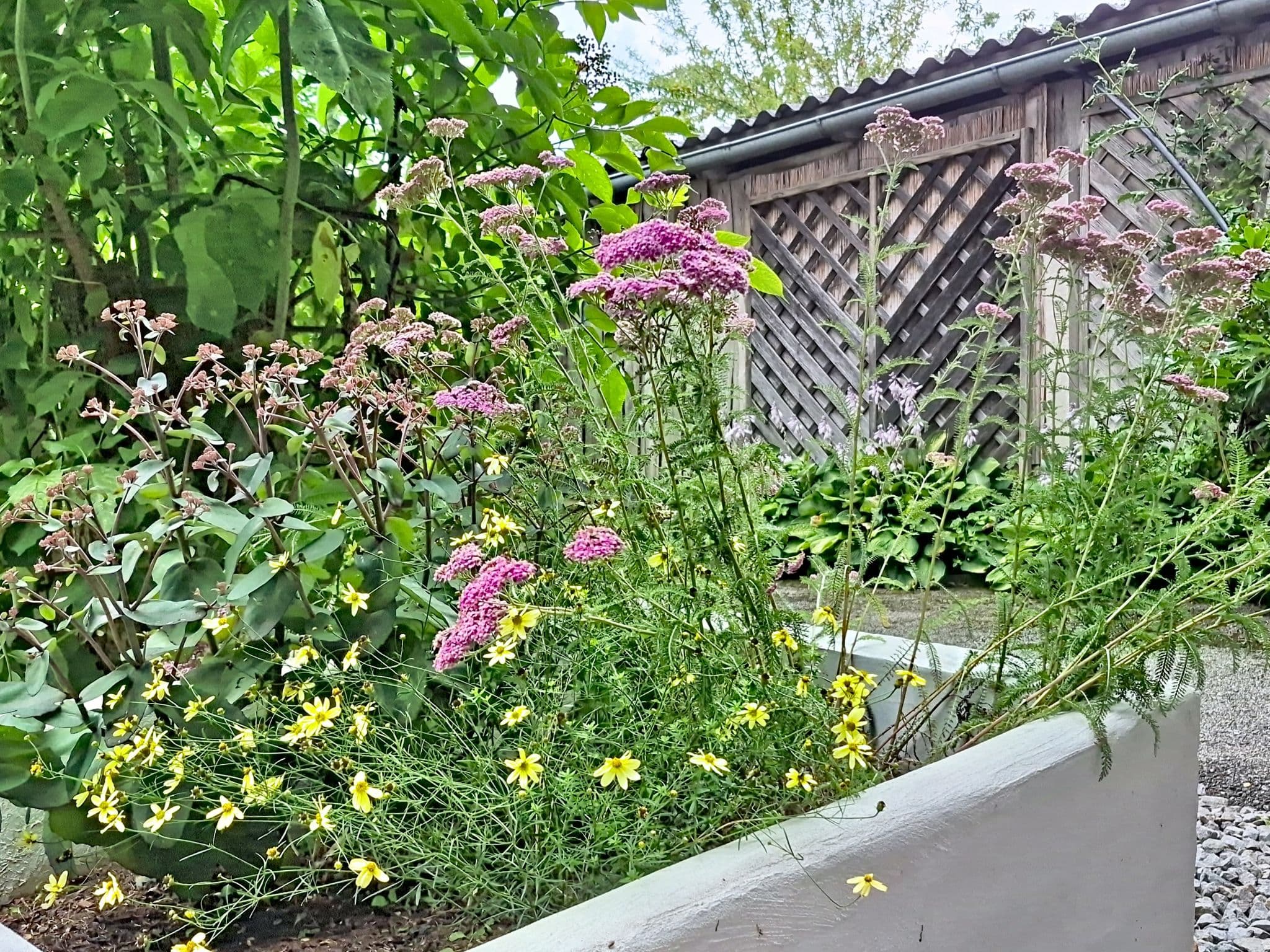 Outdoor