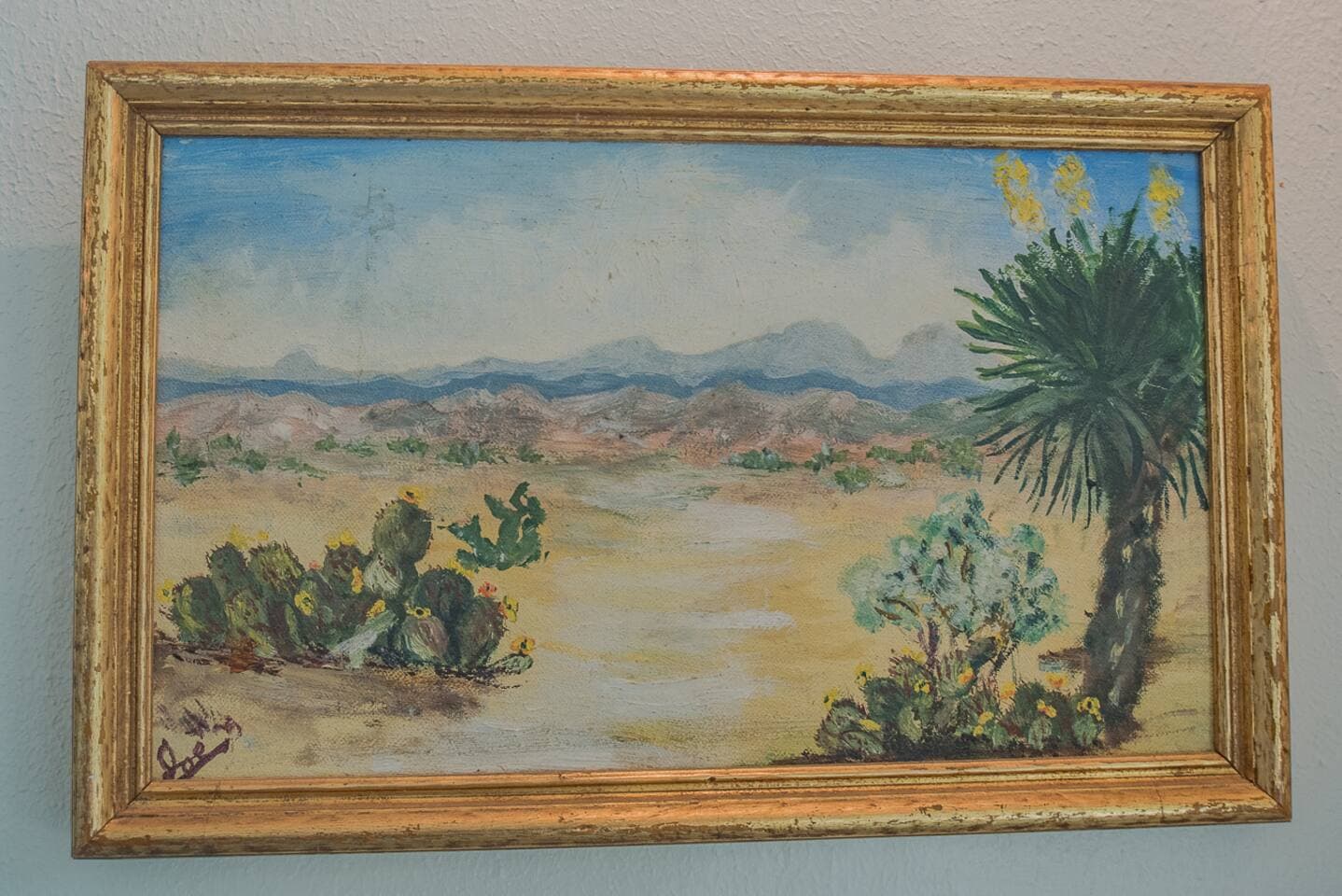 Gallery Image 61