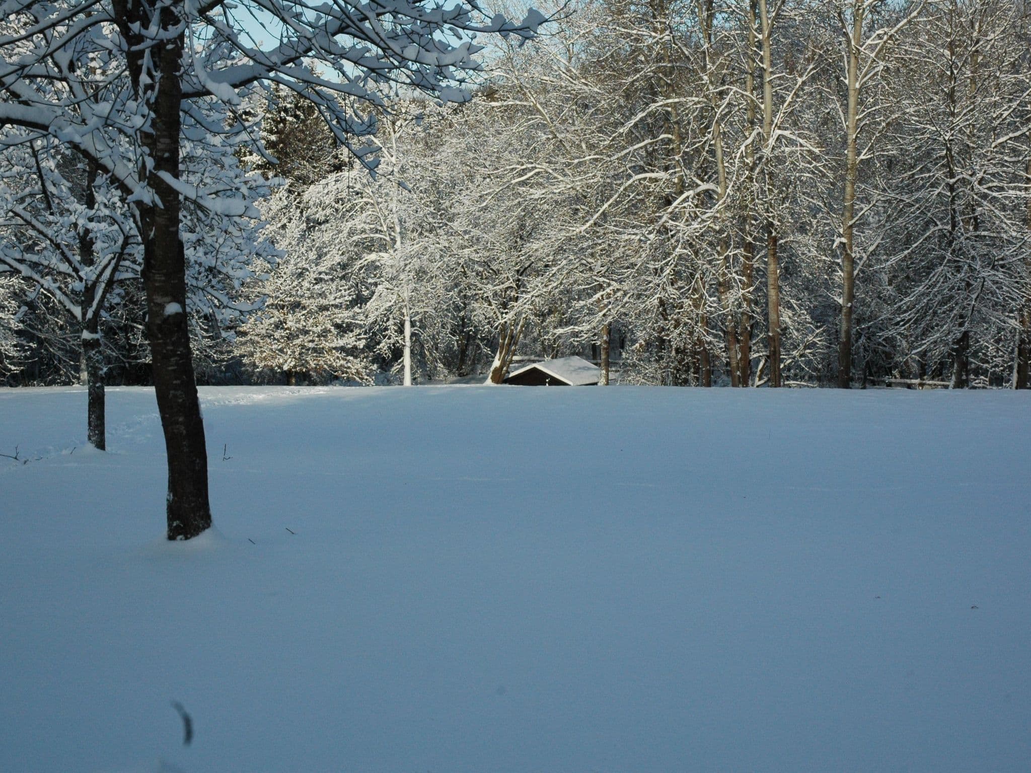 Gallery Image 17