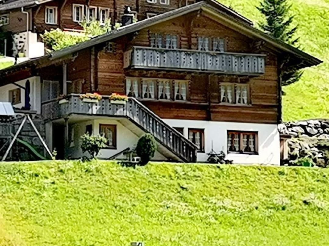 Large Image