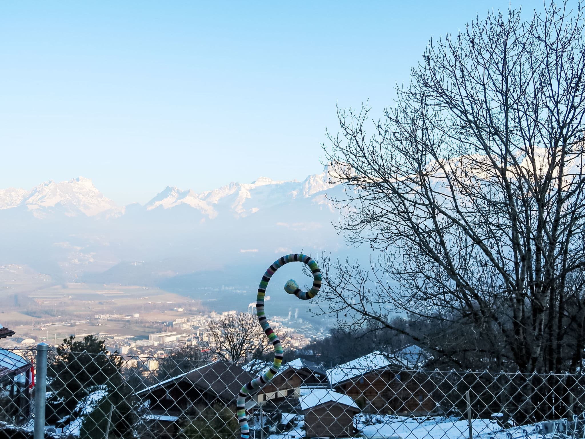 View