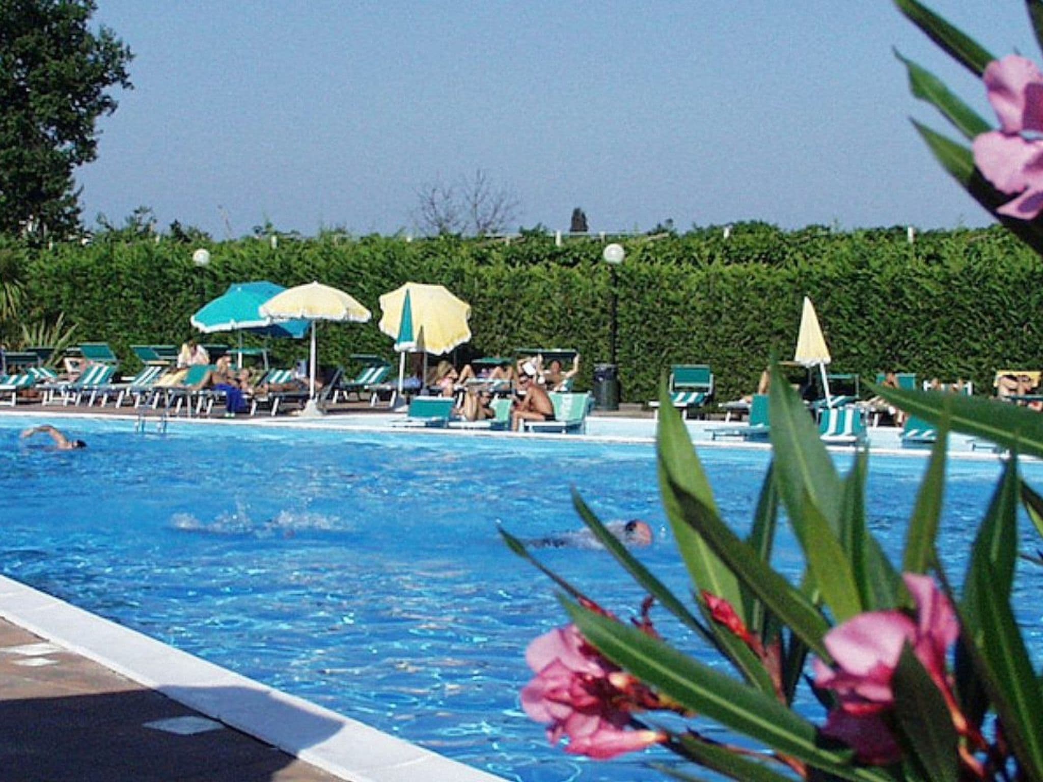 Pool Outdoor