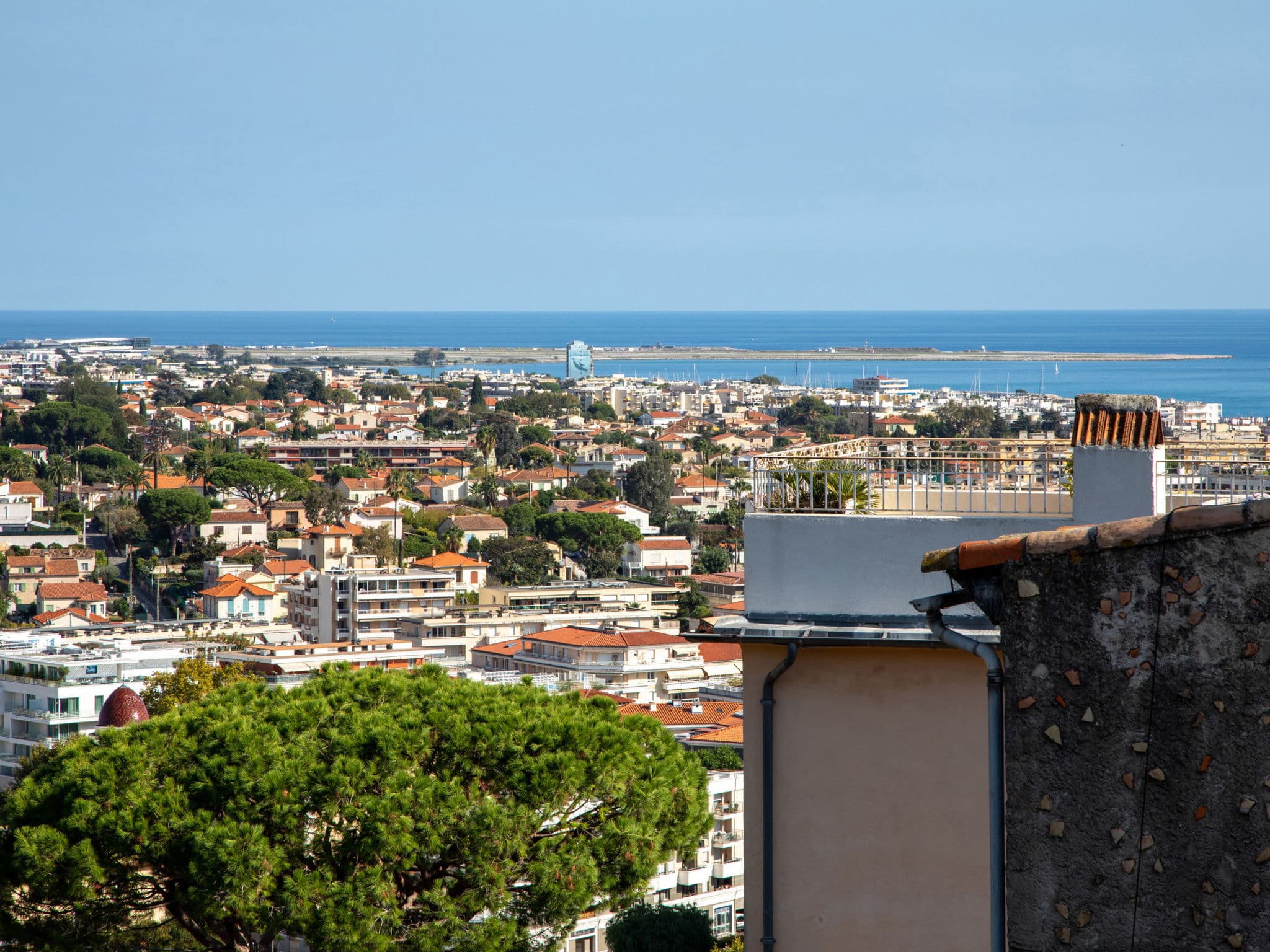 View