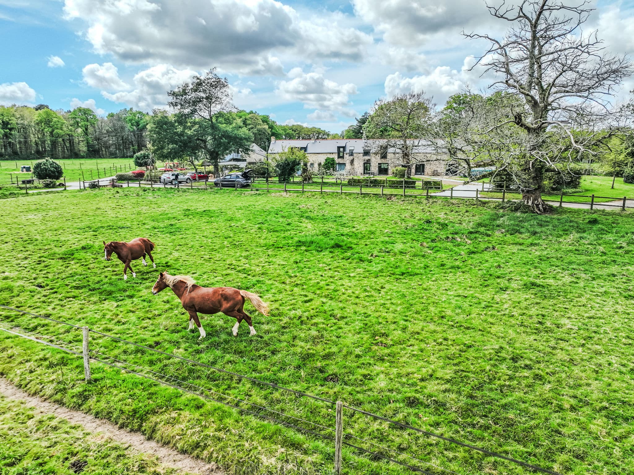 Aerial photography
