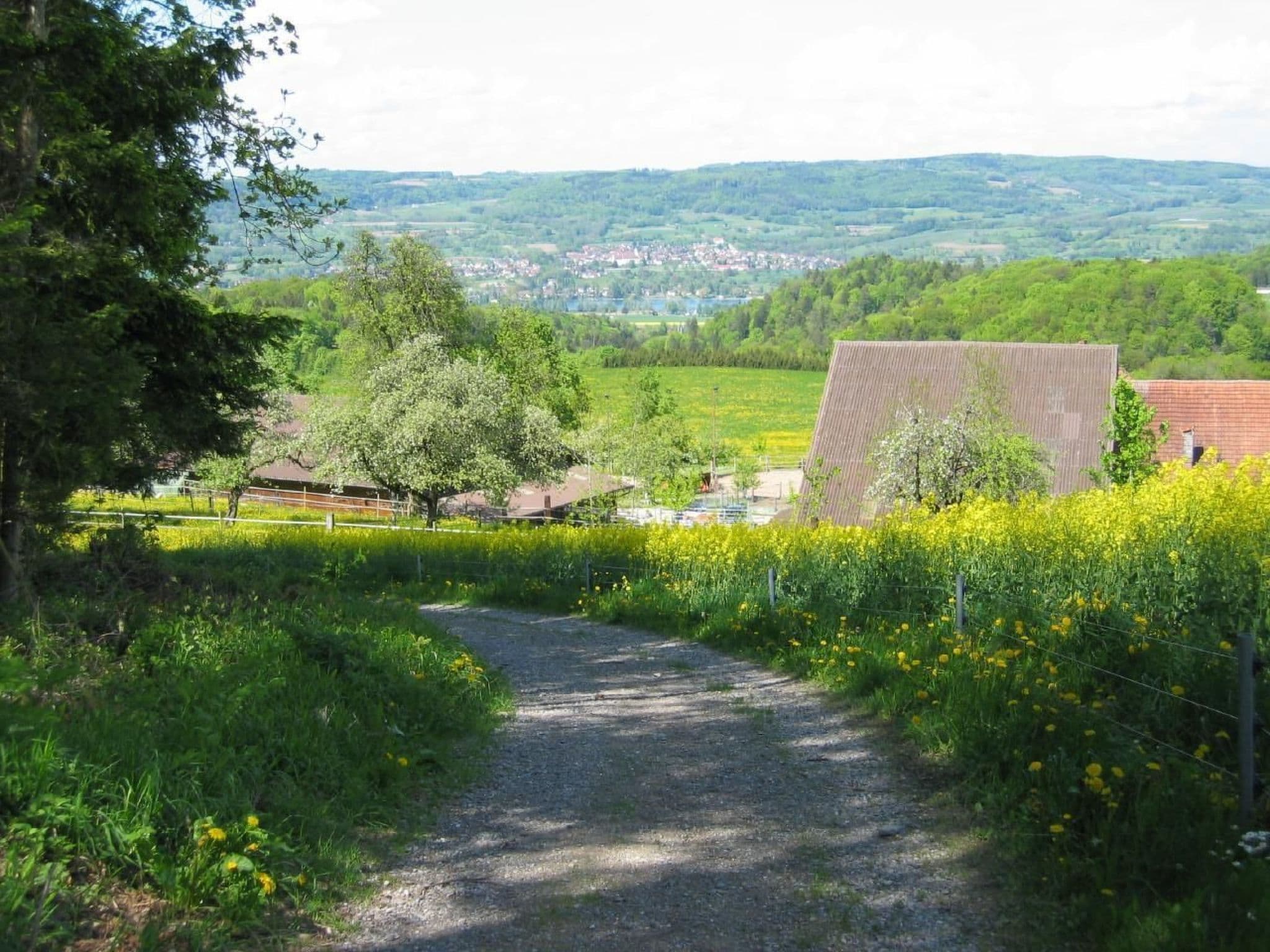 View
