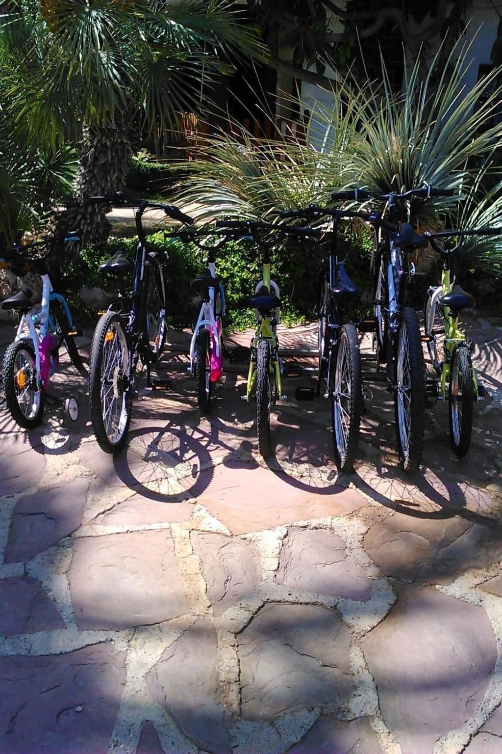 Outdoor