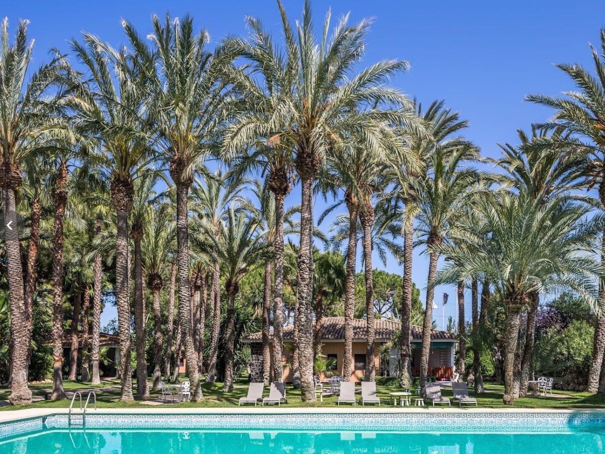 Pool Outdoor