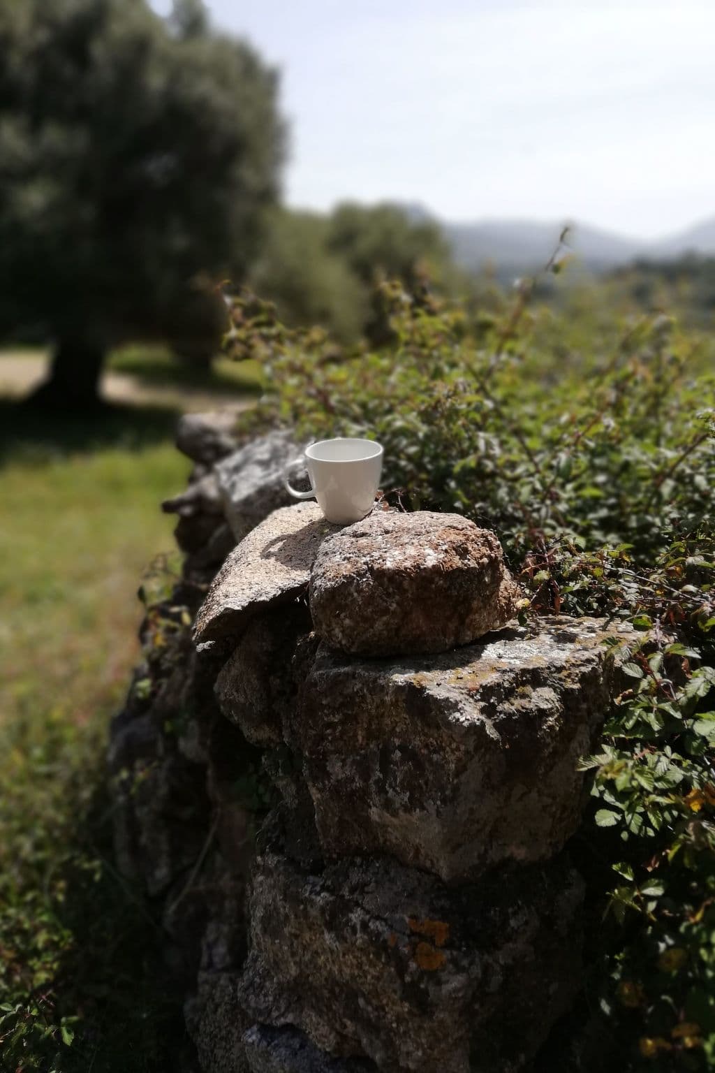 Gallery Image 25