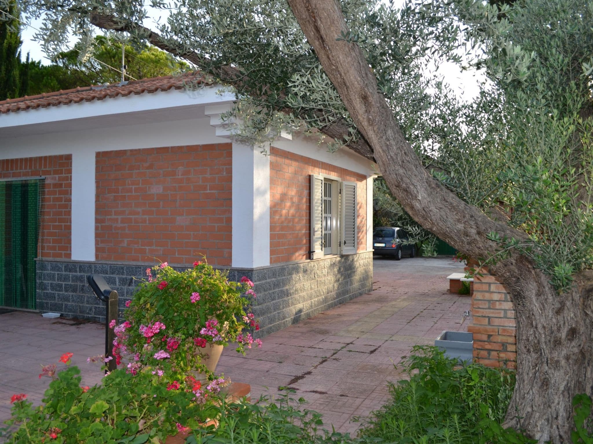 Gallery Image 8