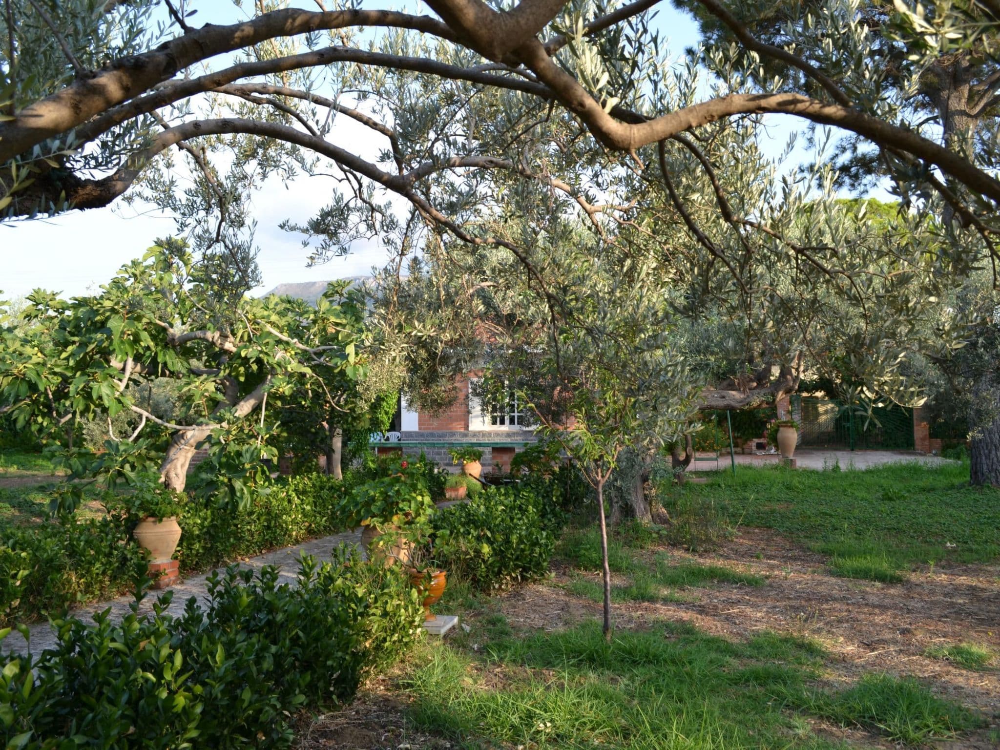 Gallery Image 10