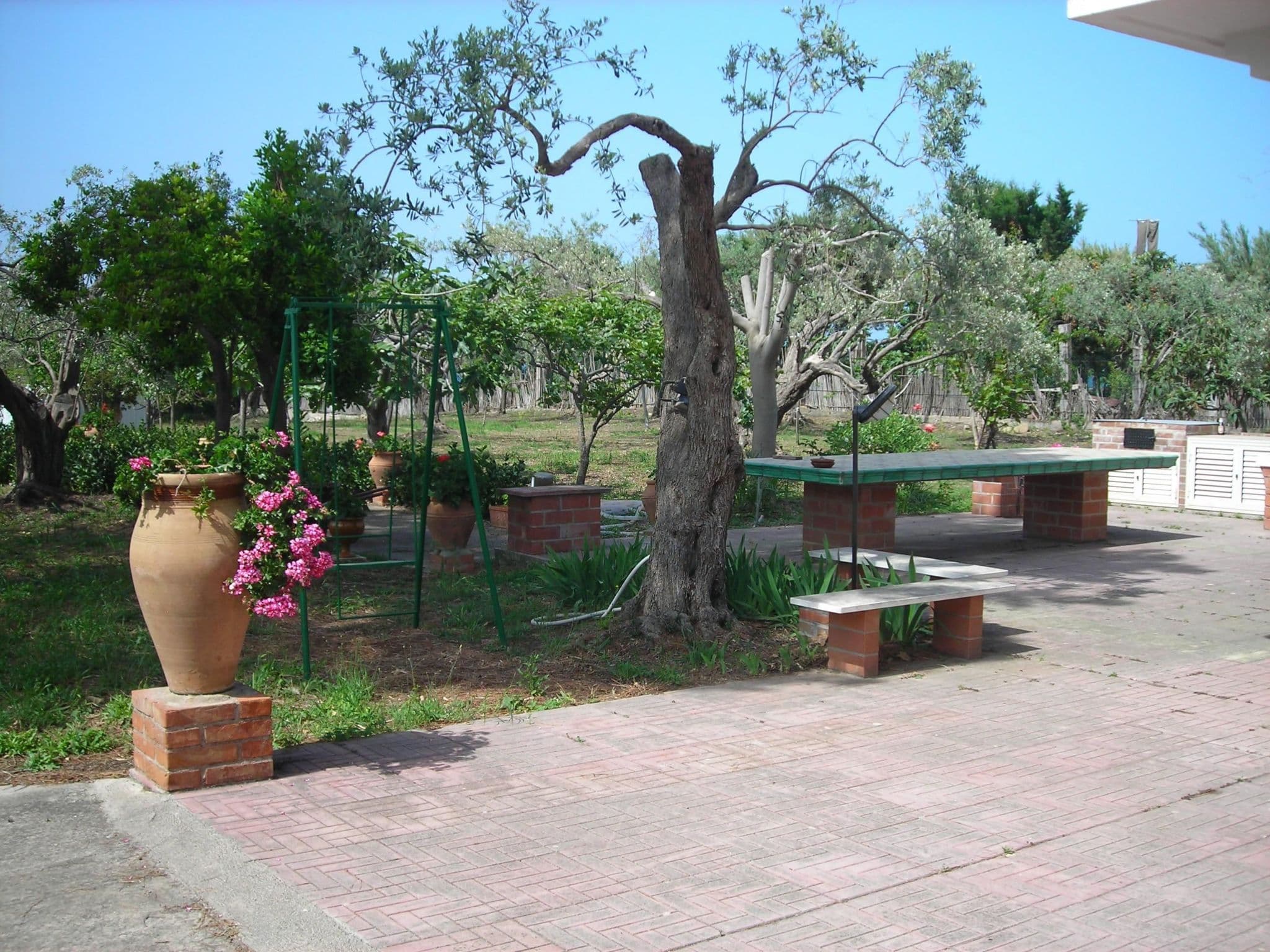 Gallery Image 11