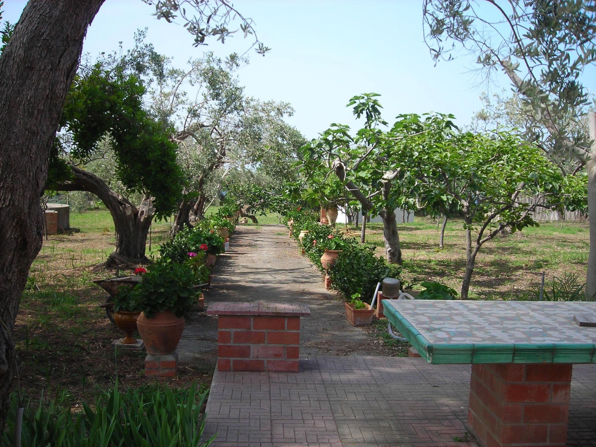 Gallery Image 12