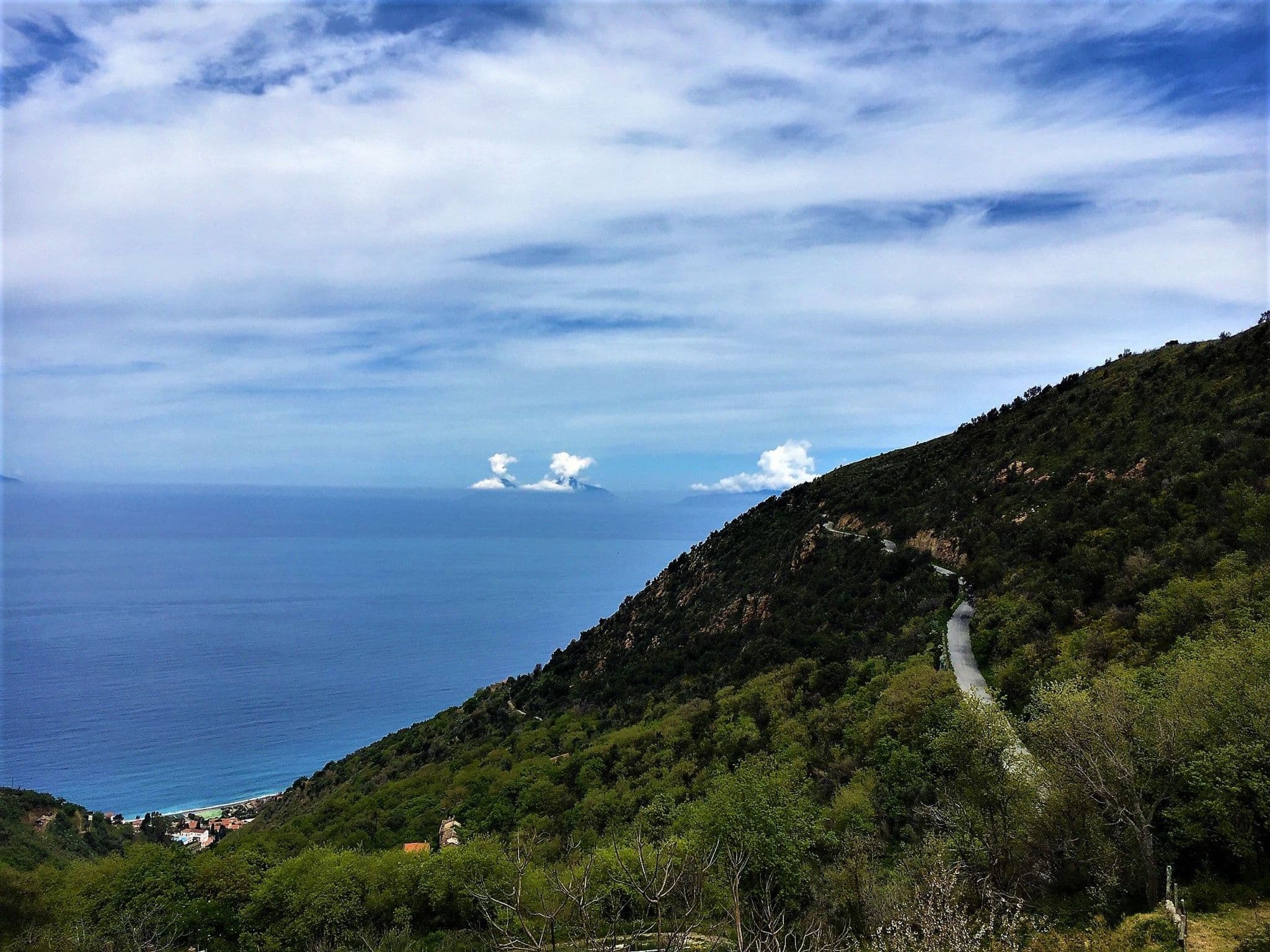 View