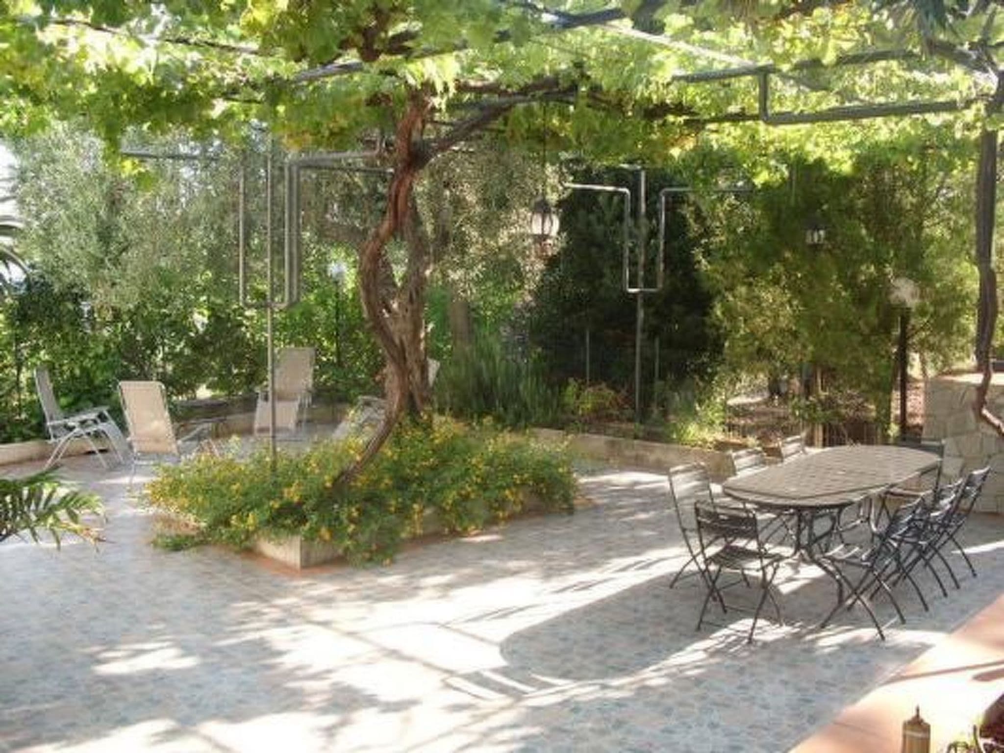 Gallery Image 7