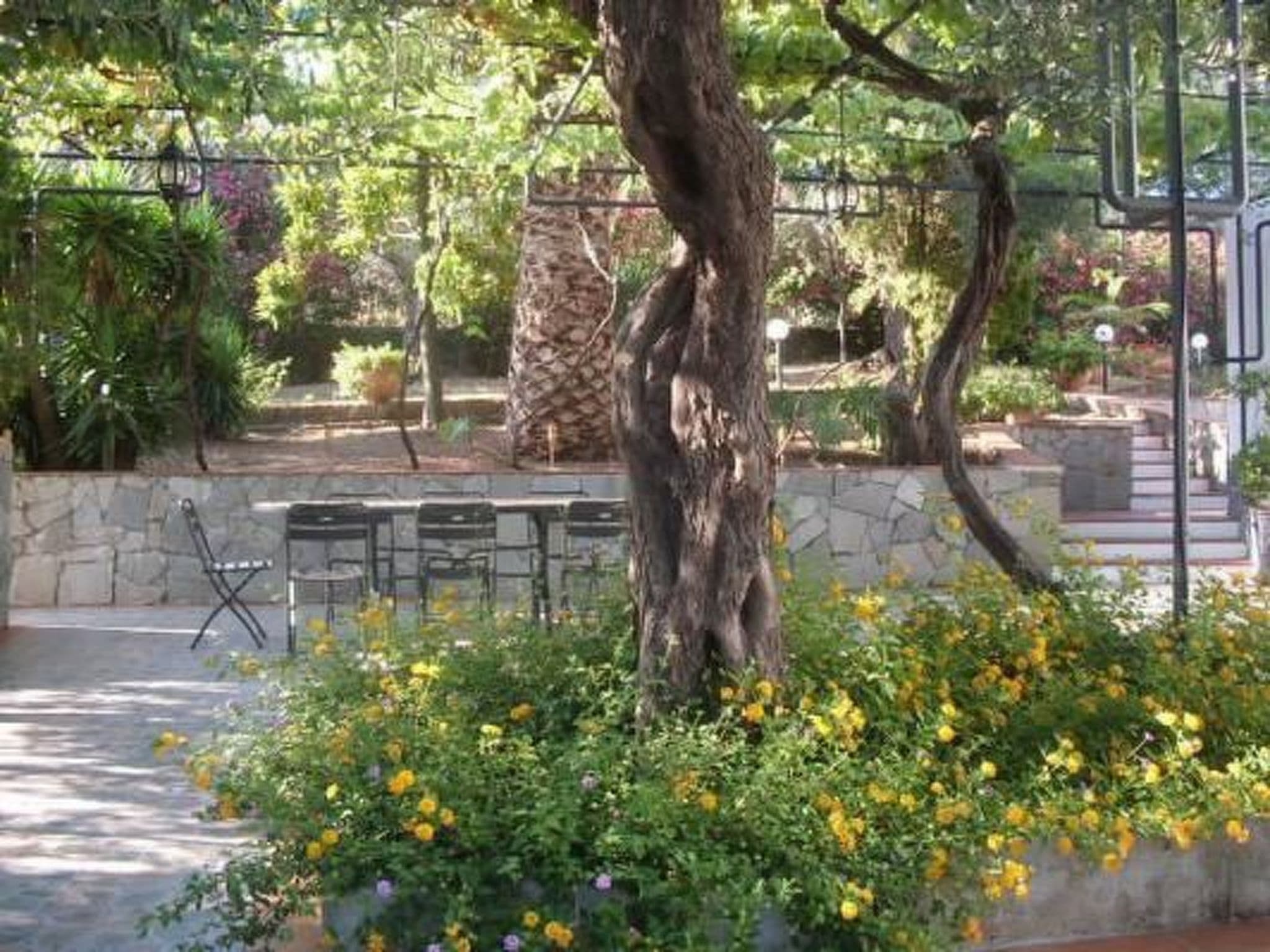 Gallery Image 8