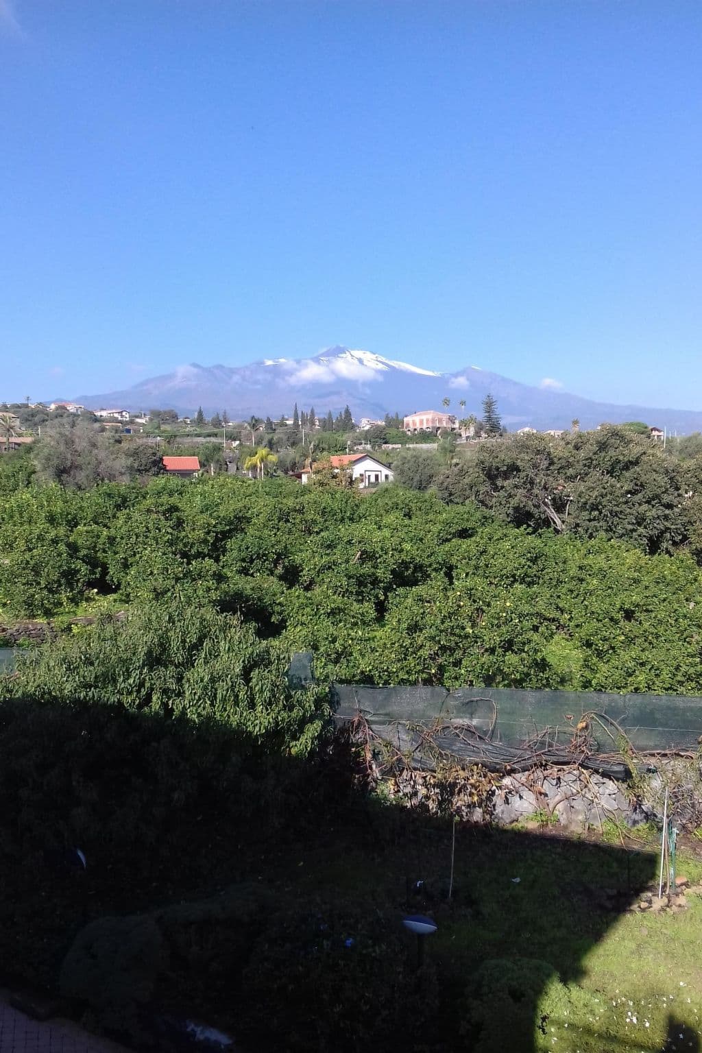 Gallery Image 21