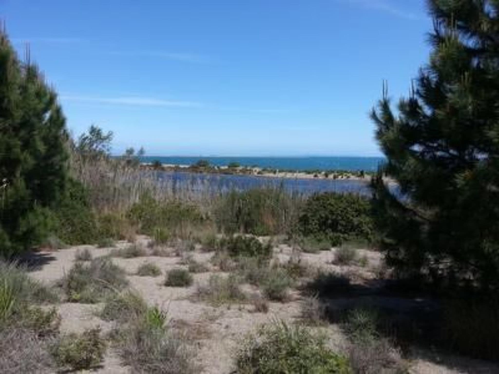 Gallery Image 23