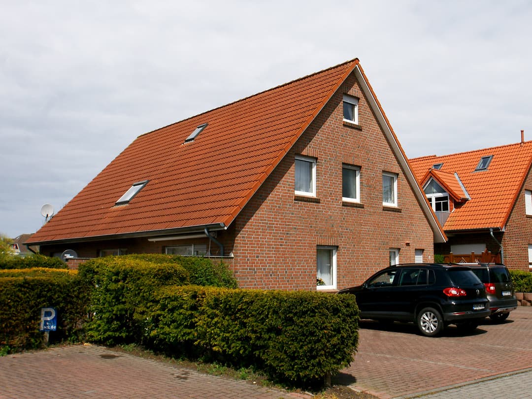 Large Image