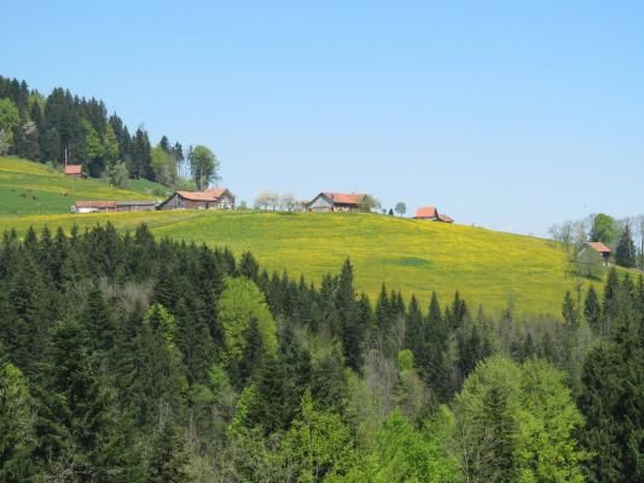 Gallery Image 28