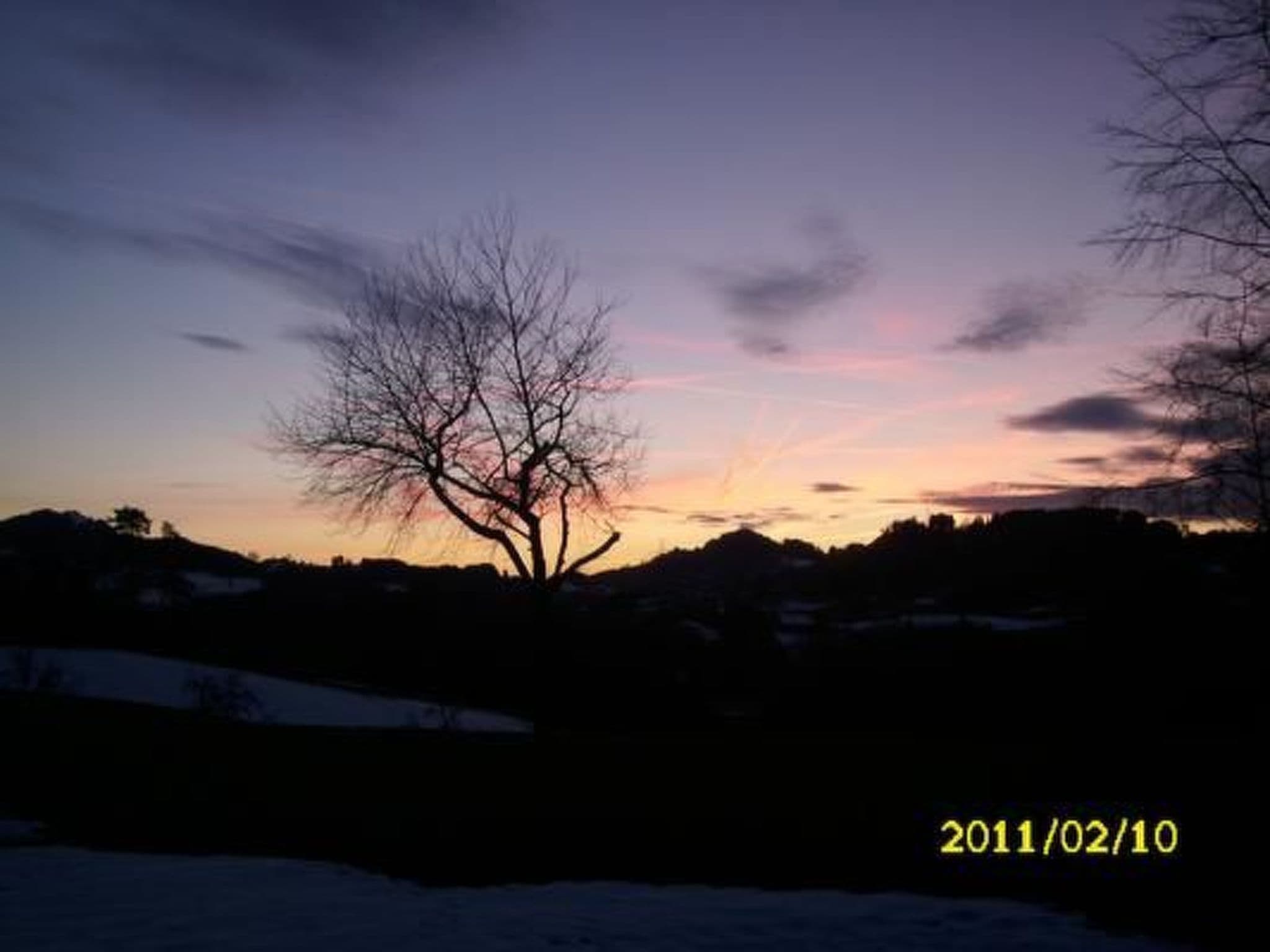 Gallery Image 30