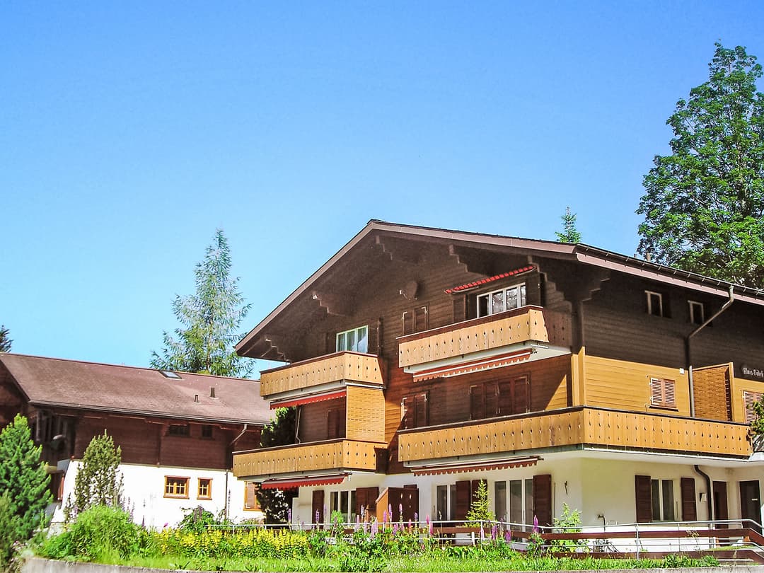 Large Image