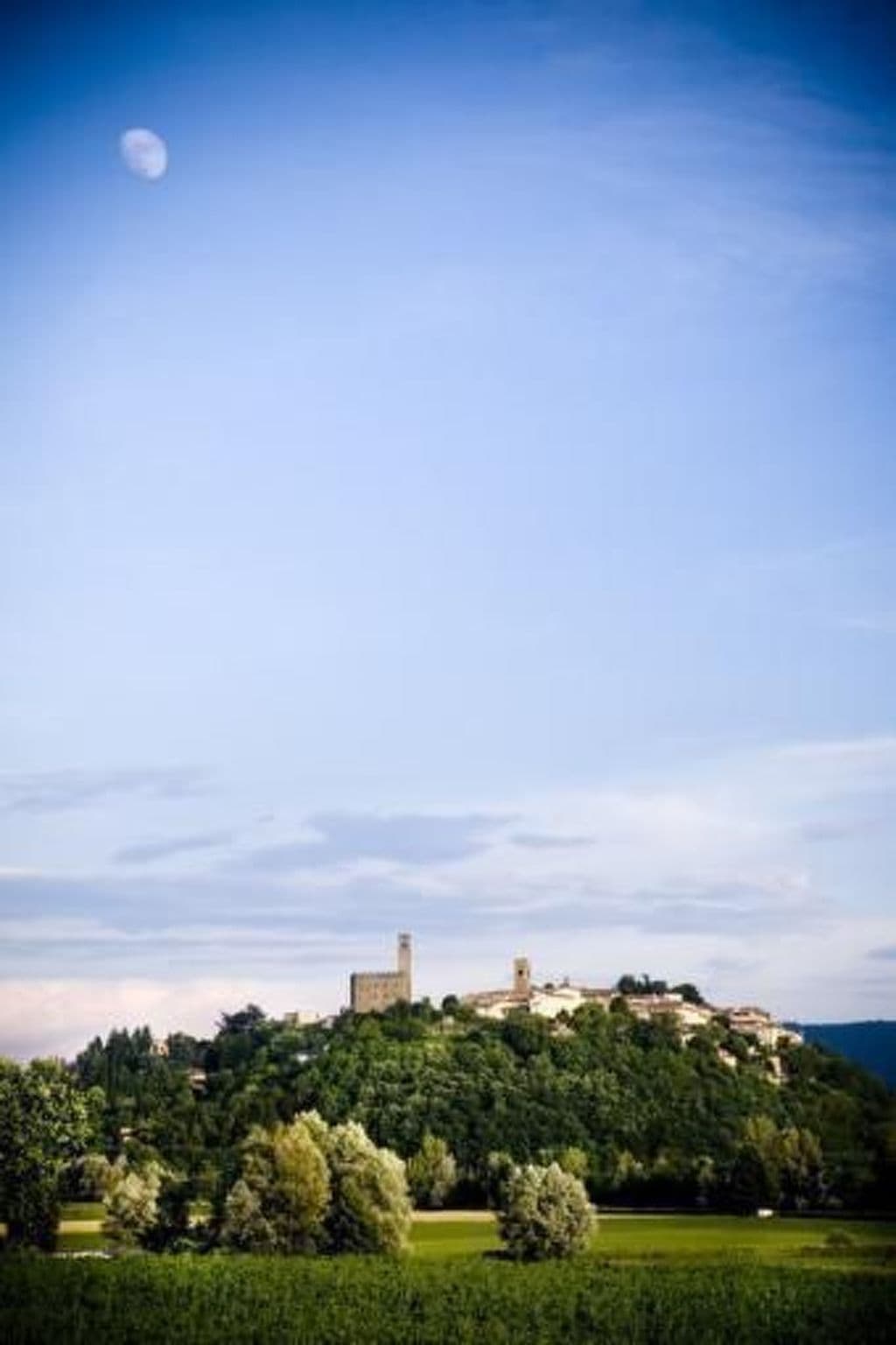 View