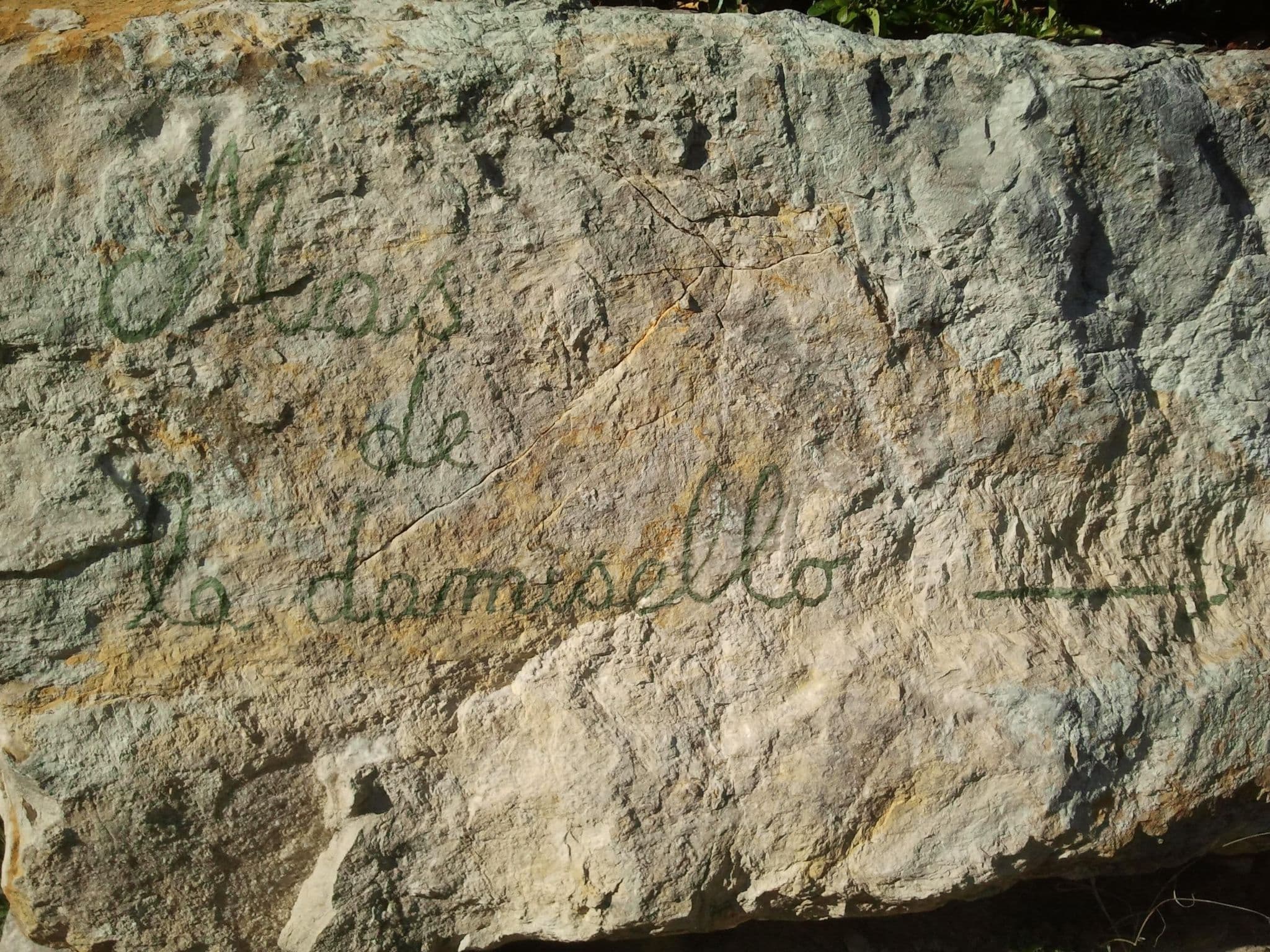 Gallery Image 37