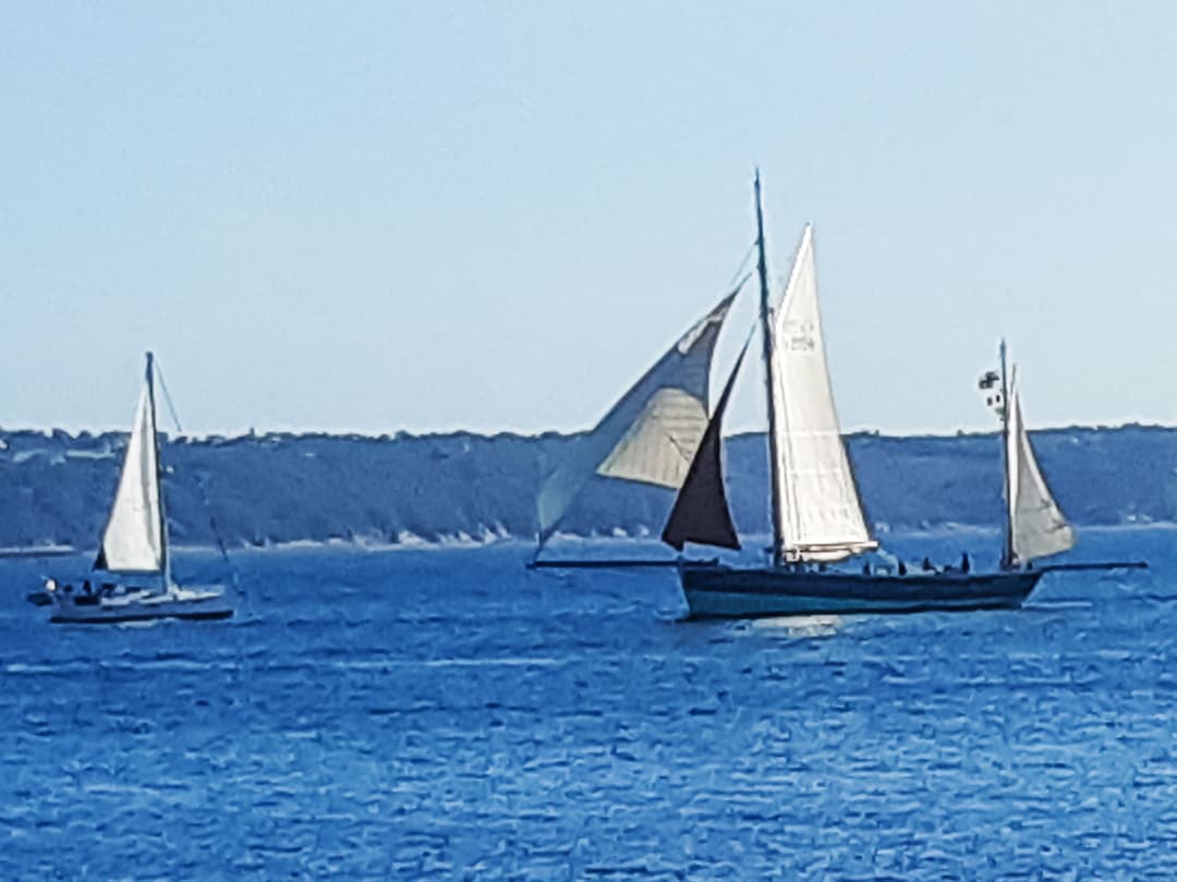 Large Image