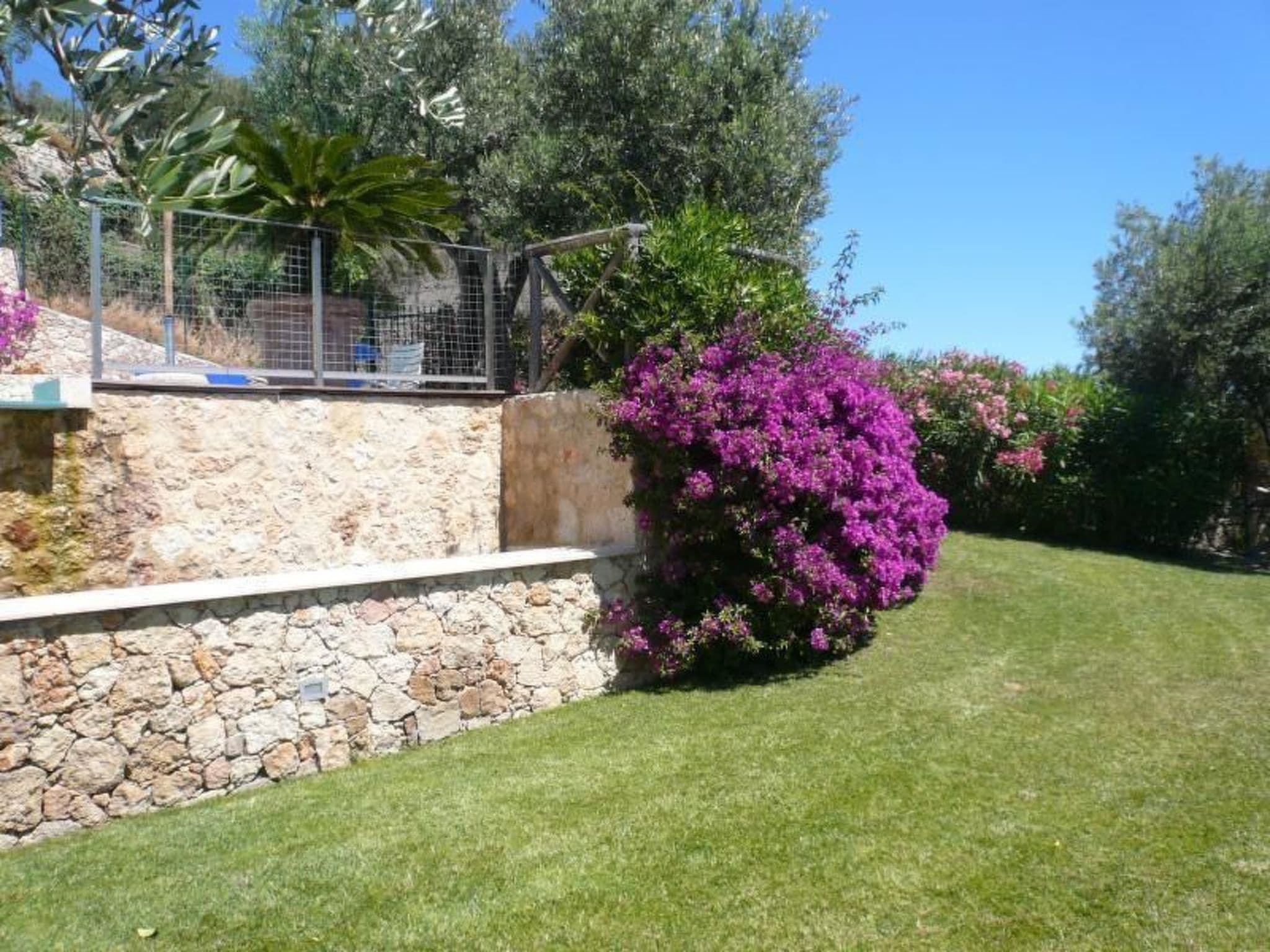 Gallery Image 9