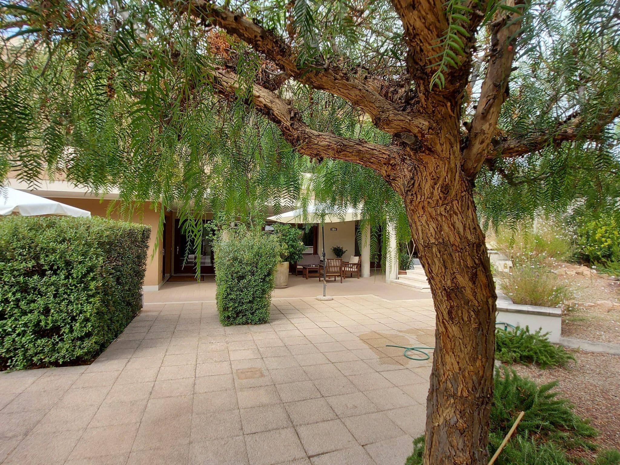 Gallery Image 18