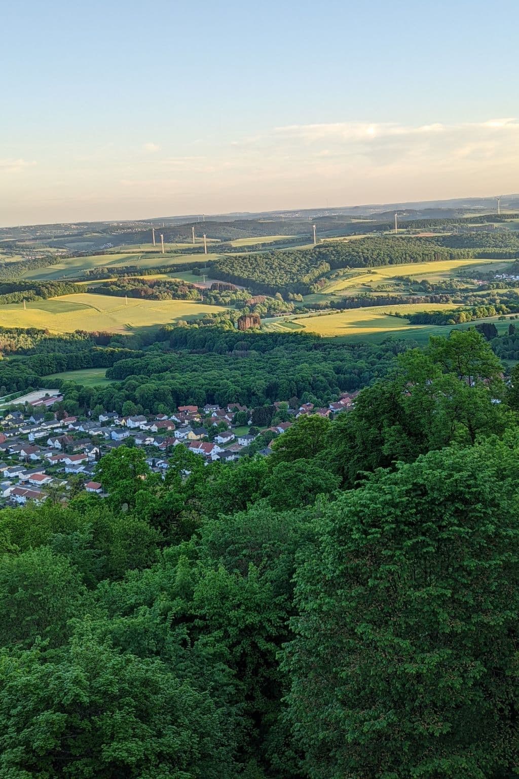 View