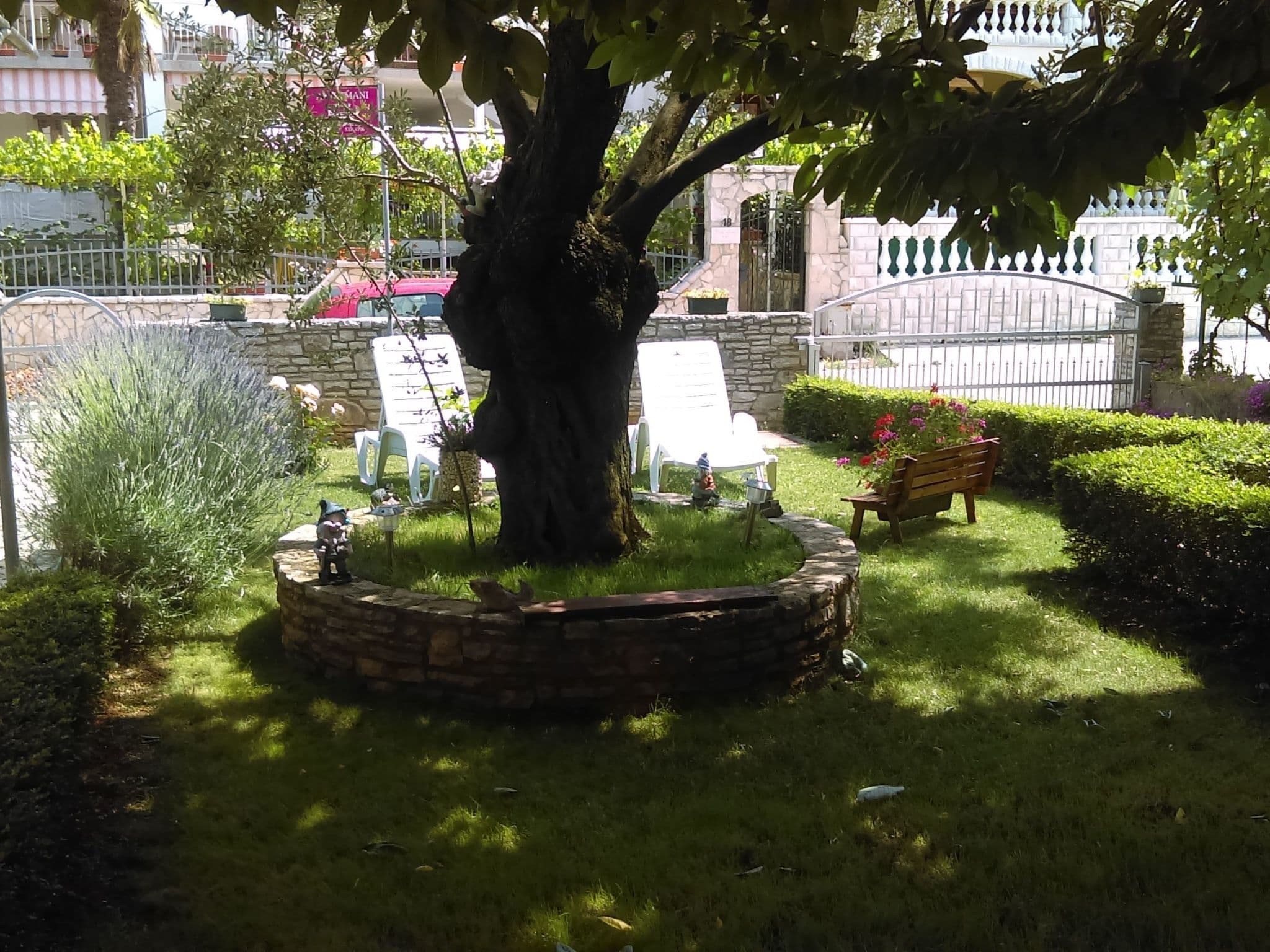Gallery Image 11