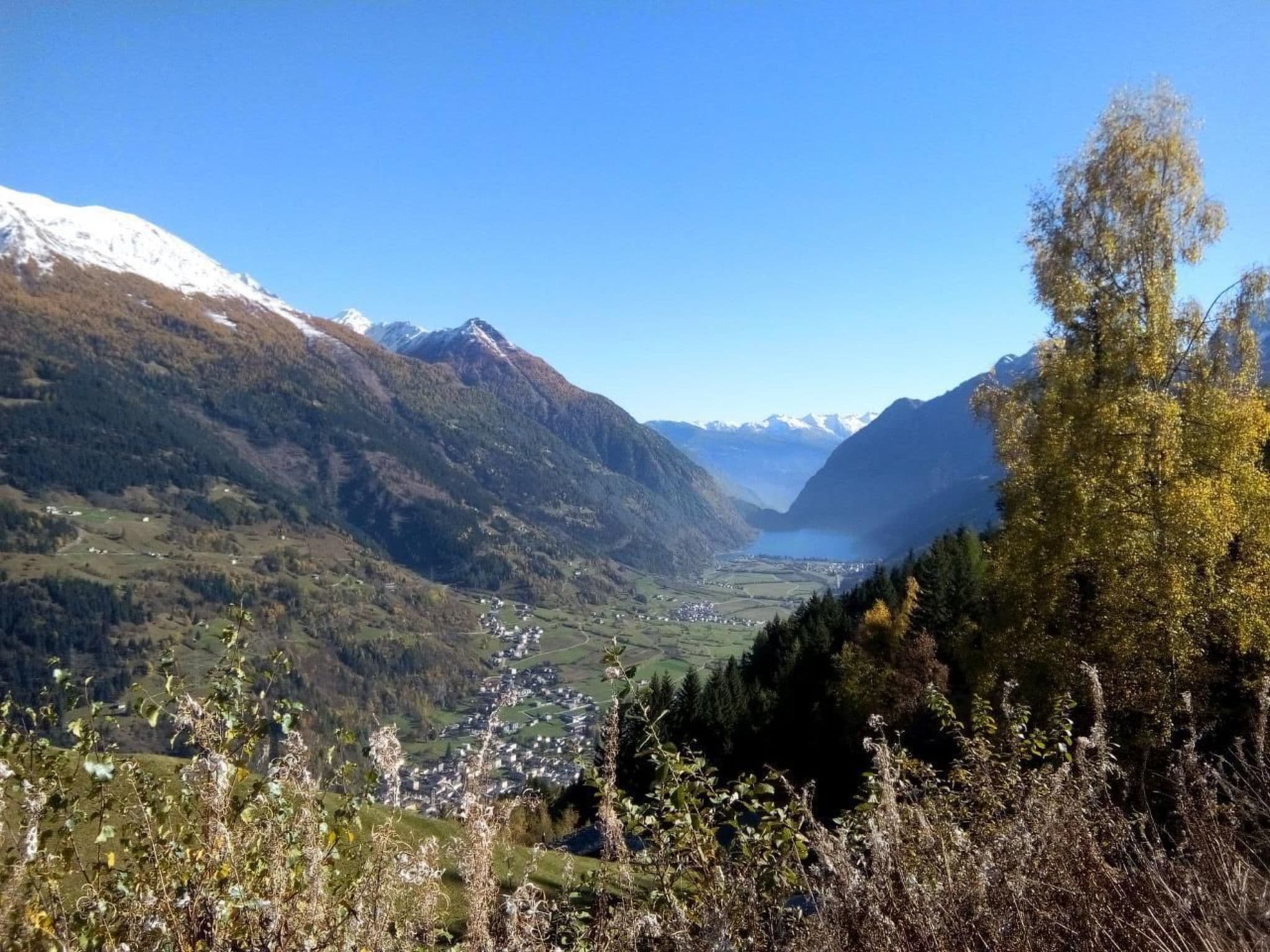 View