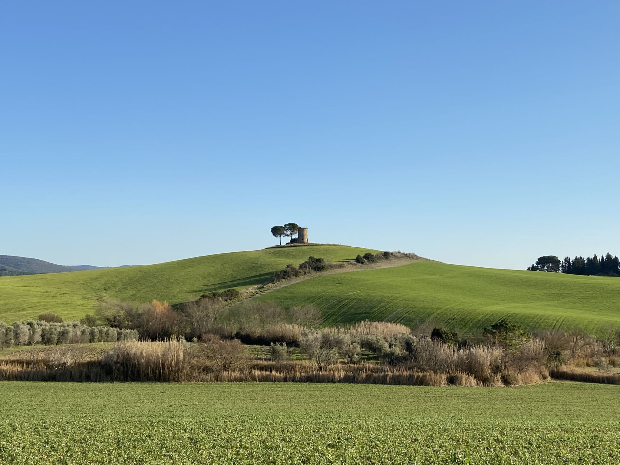 Place