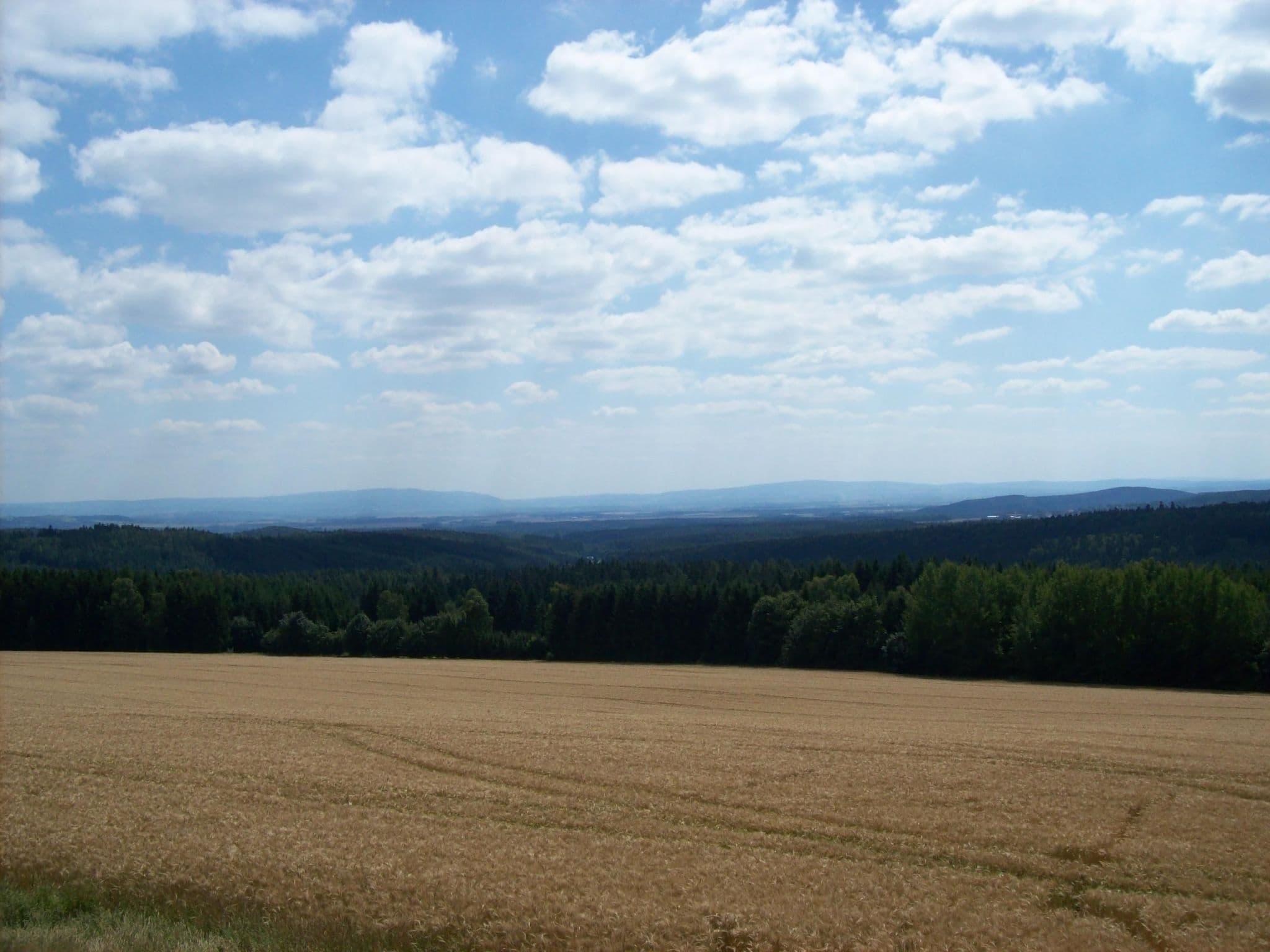 View