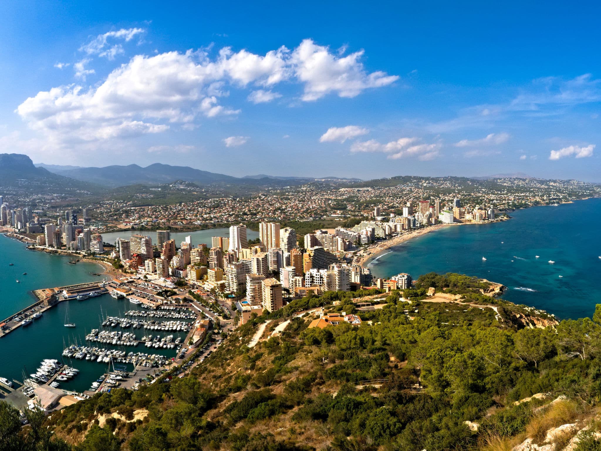 View