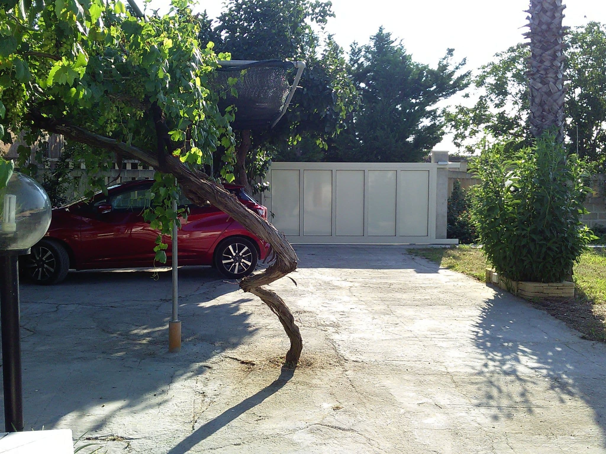 Gallery Image 9