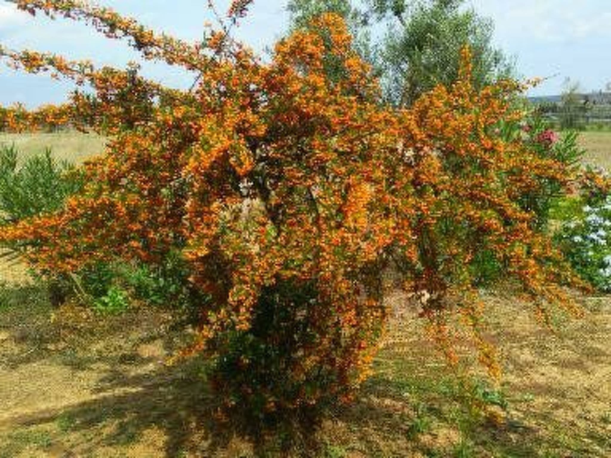 Gallery Image 15